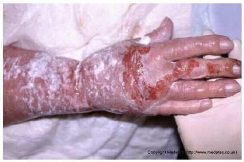 Jcm 14 08825 i013 Jcm 14 08825 i013