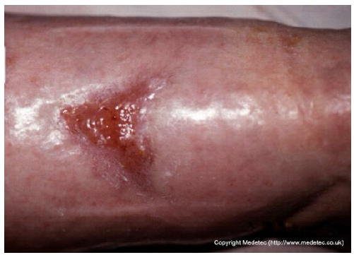 Jcm 14 08825 i019 Jcm 14 08825 i019