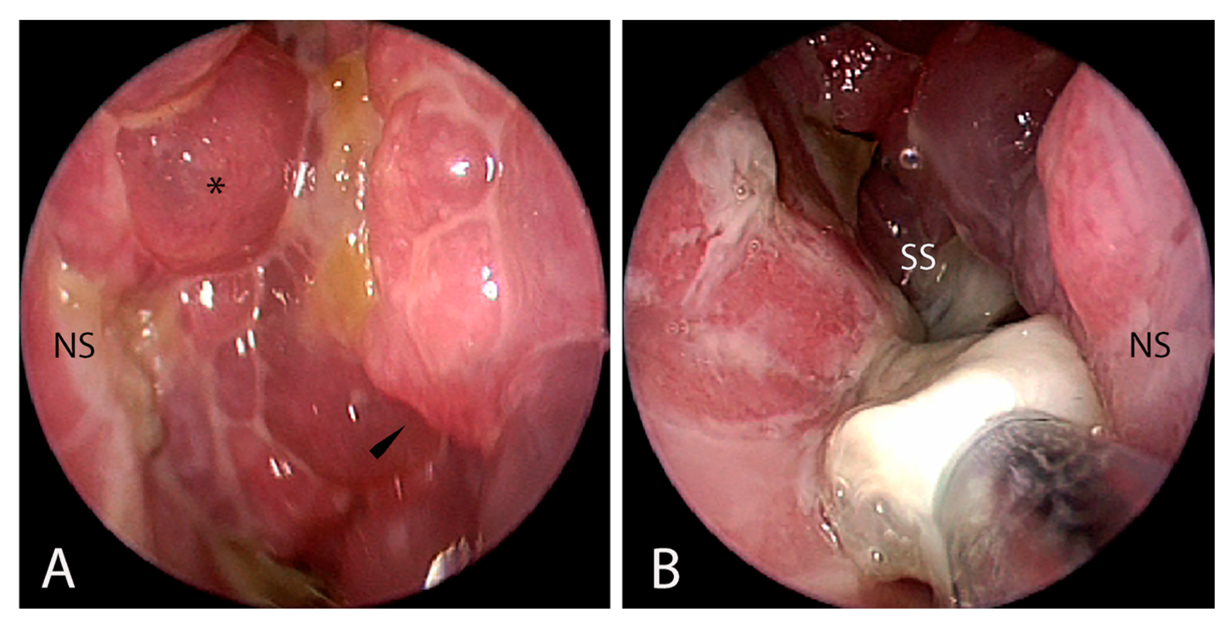 Jcm 14 08835 g001 Jcm 14 08835 g001