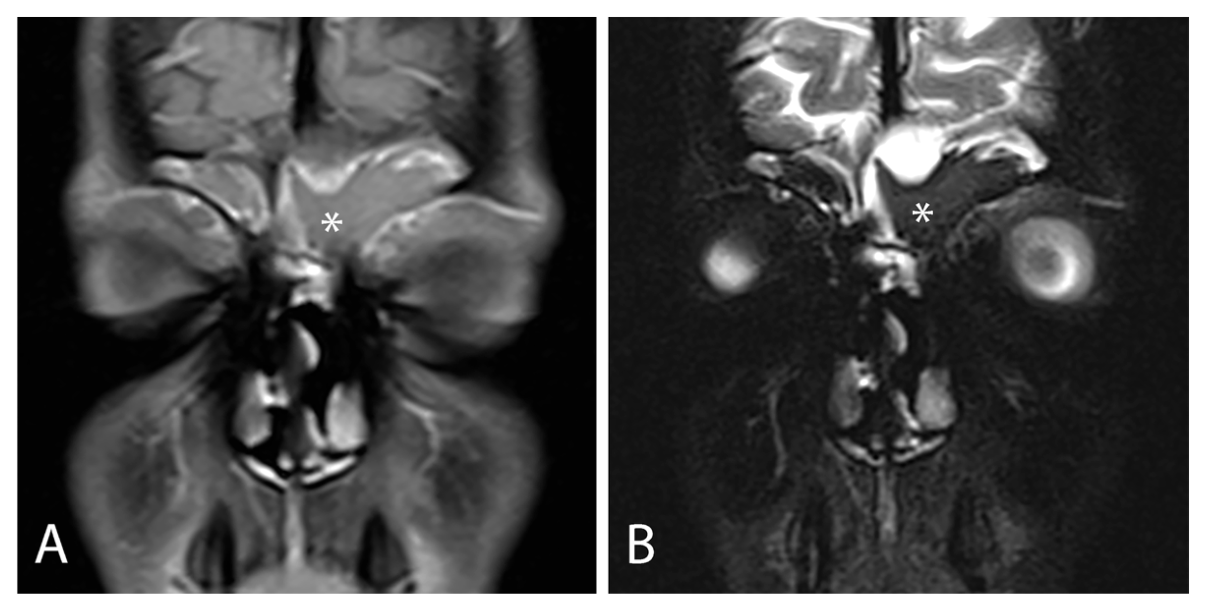 Jcm 14 08835 g003 Jcm 14 08835 g003