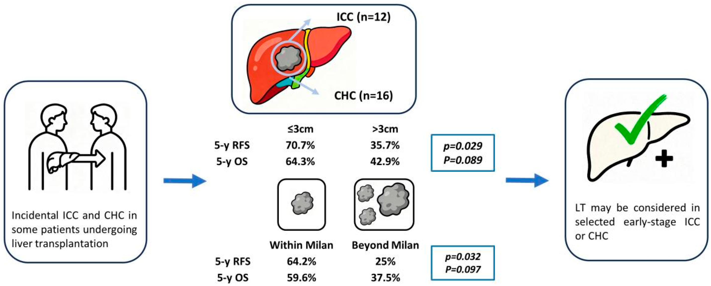 Jcm 14 08857 g004 Jcm 14 08857 g004
