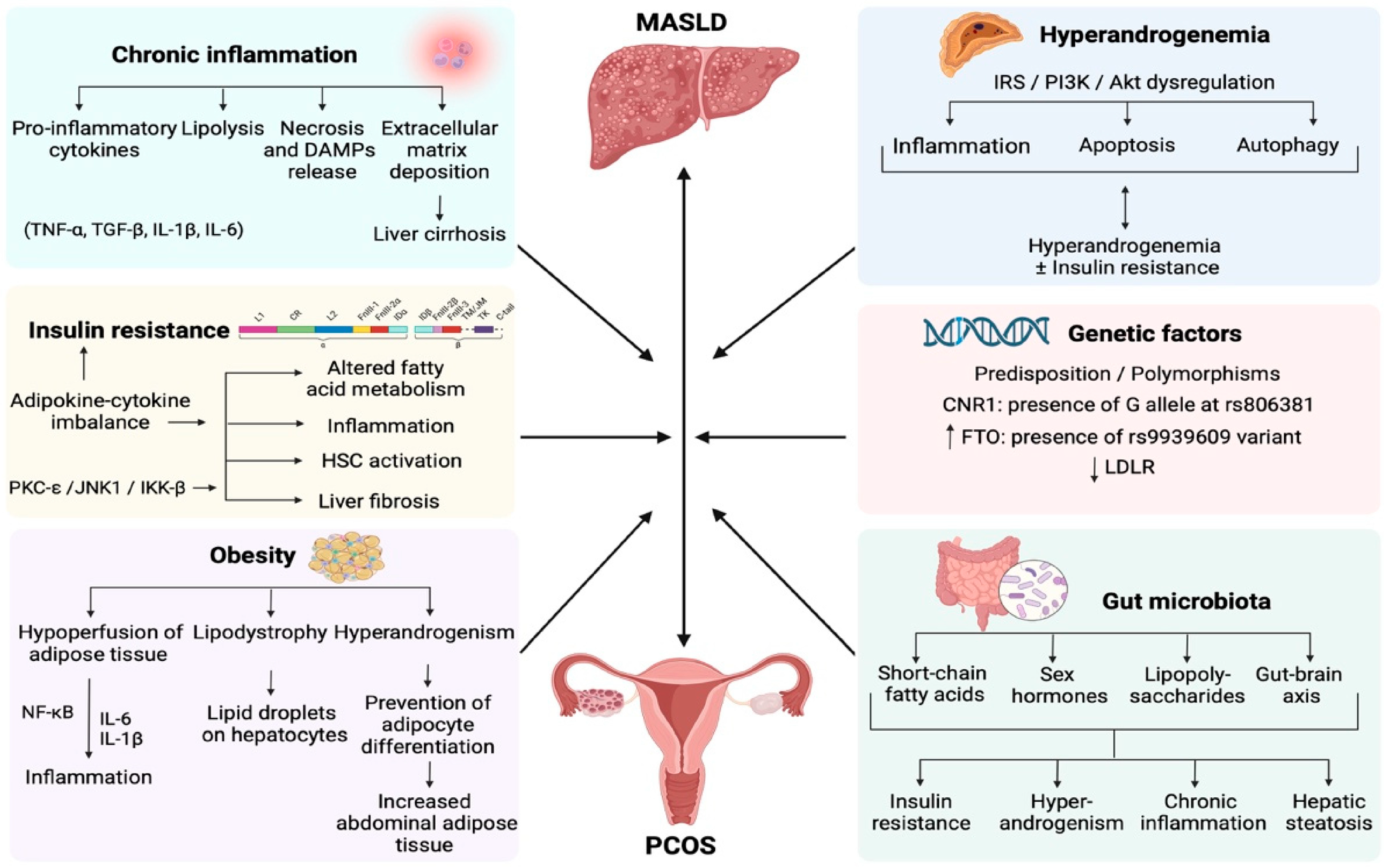 Jcm 14 08867 g002 Jcm 14 08867 g002