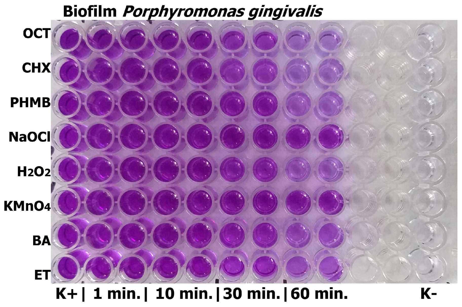 Jcm 14 08909 g001 Jcm 14 08909 g001