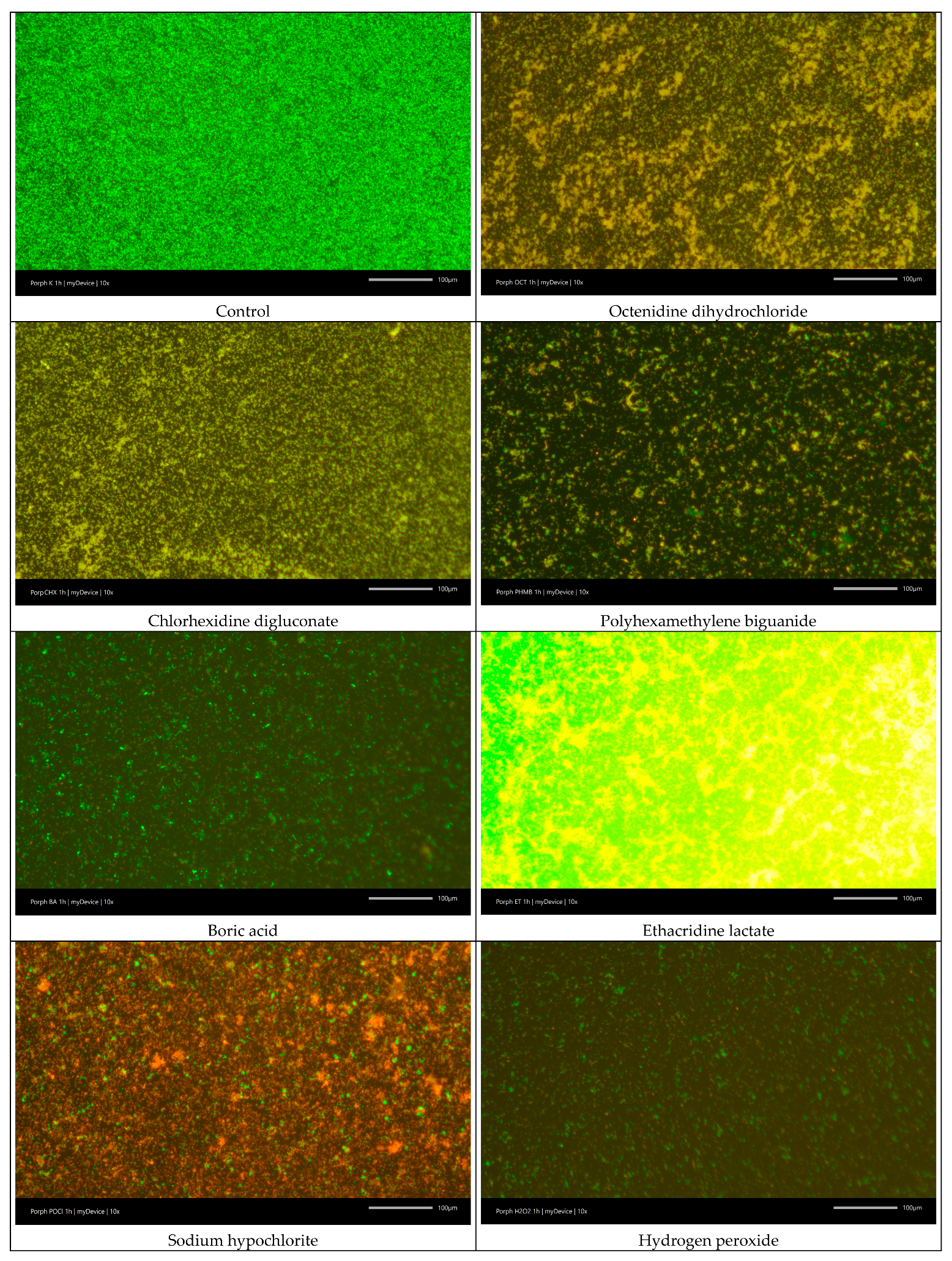 Jcm 14 08909 g003a Jcm 14 08909 g003a