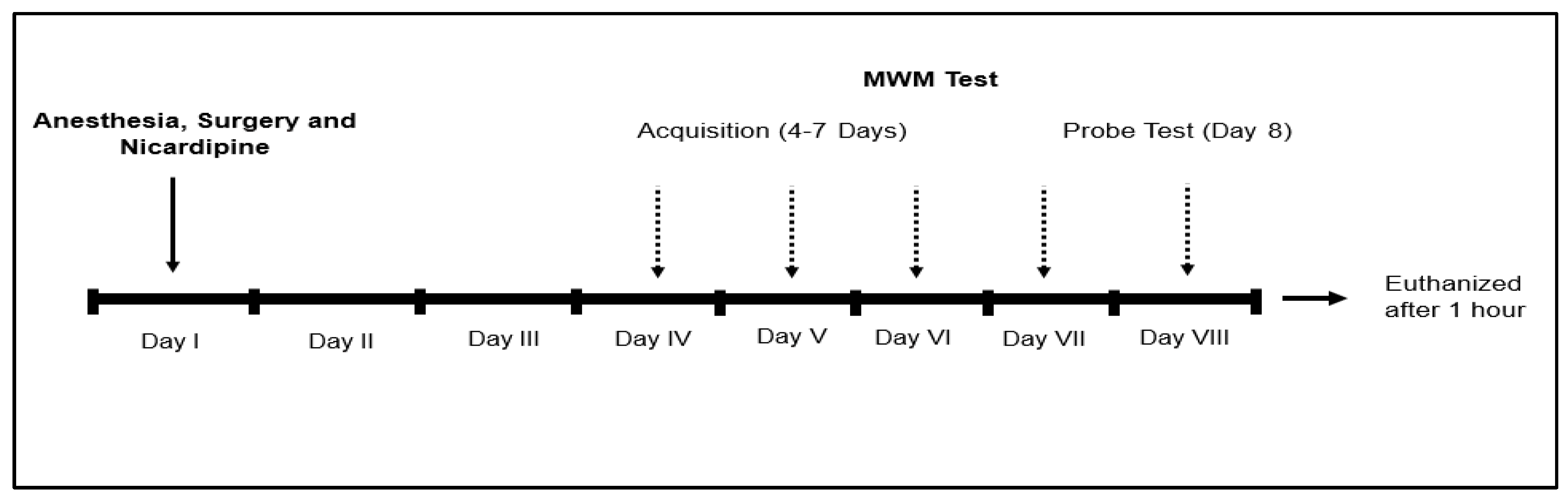 Jcm 14 08912 g001 Jcm 14 08912 g001