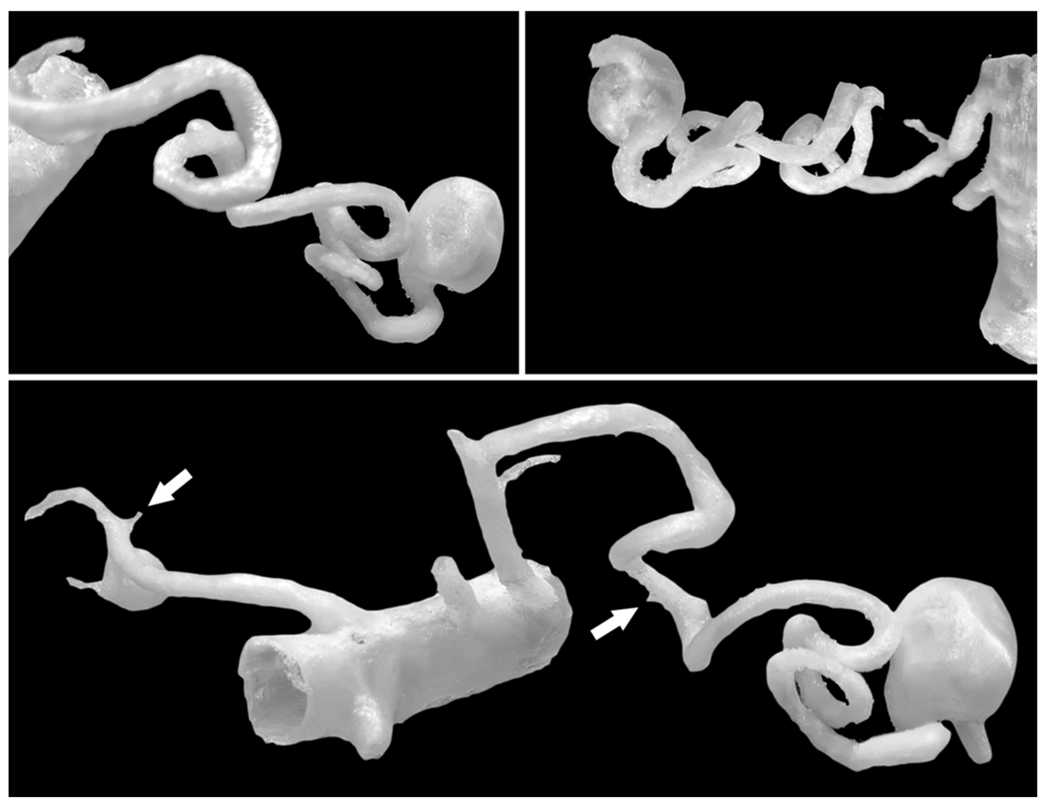 Jcm 14 08915 g001 Jcm 14 08915 g001