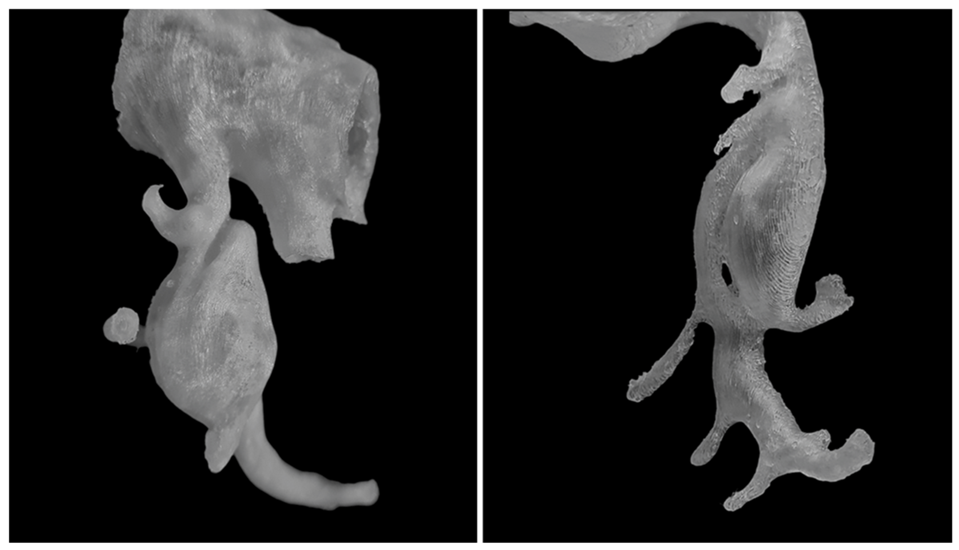 Jcm 14 08915 g003 Jcm 14 08915 g003