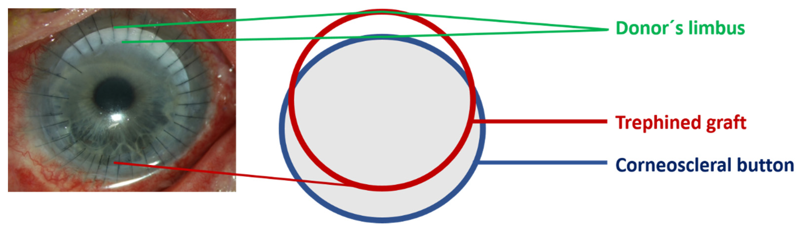 Jcm 14 08958 g001