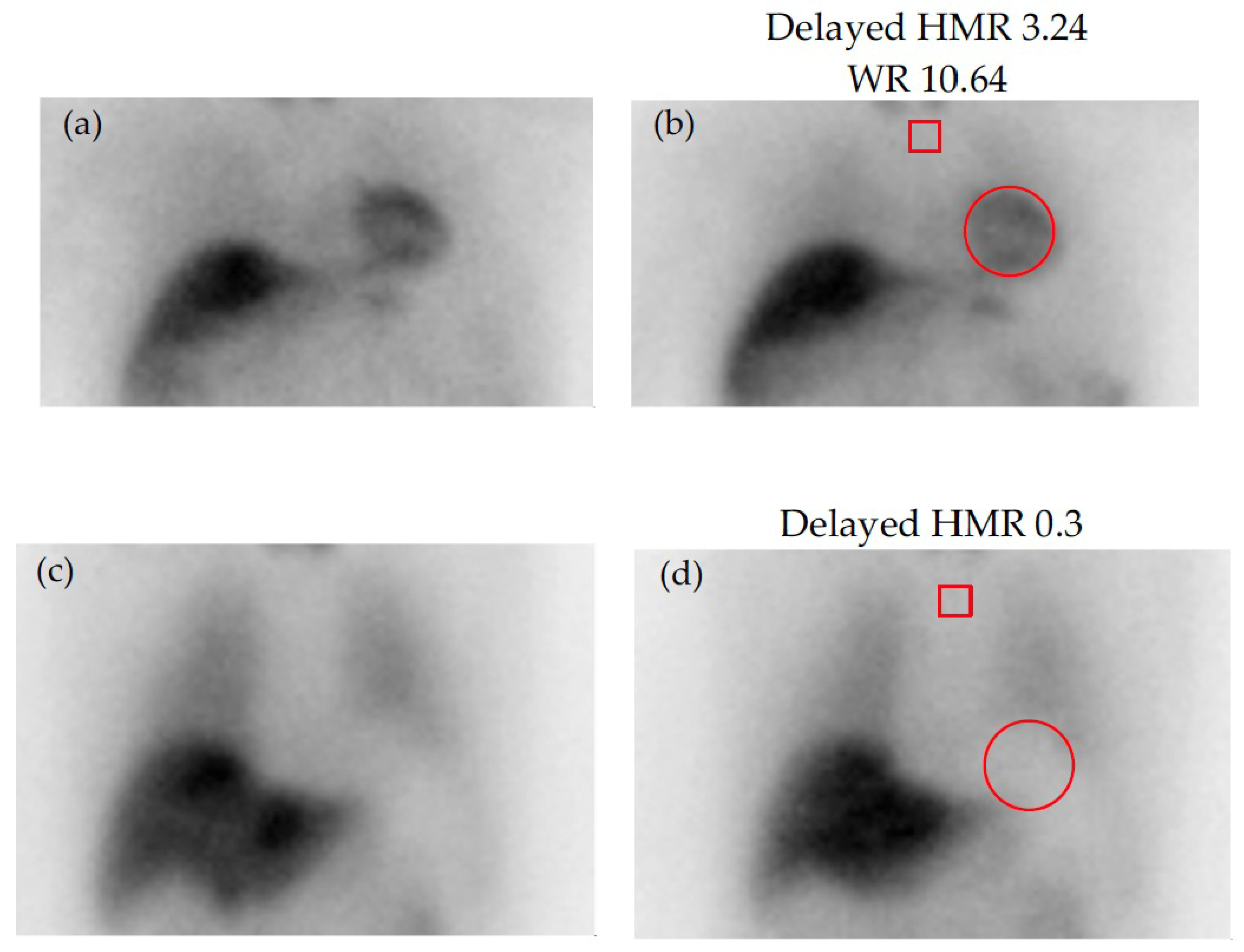 Jcm 14 08963 g004
