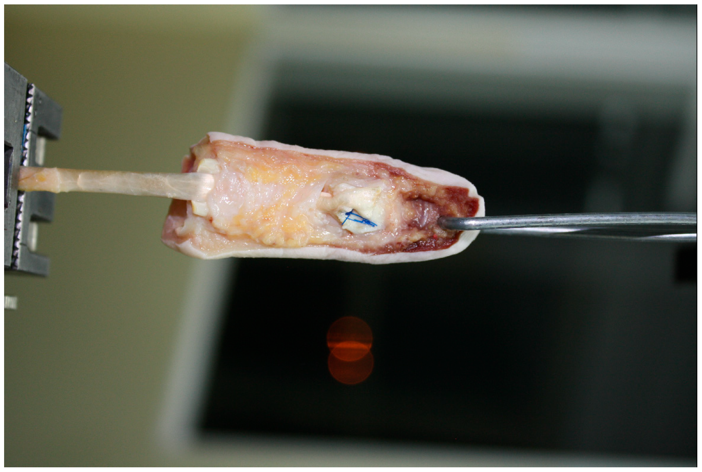 Jcm 15 00141 g002 Jcm 15 00141 g002