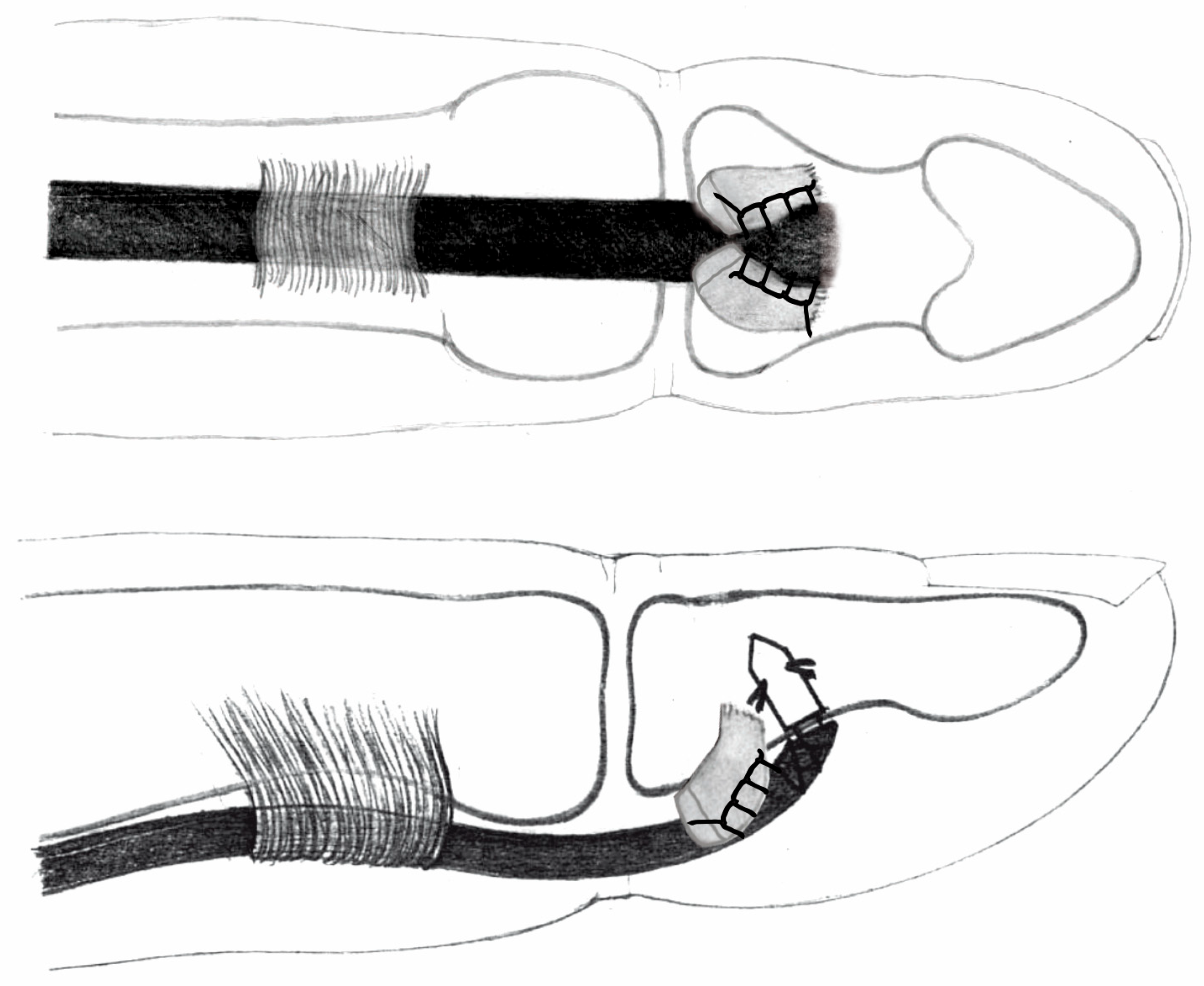 Jcm 15 00141 g003 Jcm 15 00141 g003