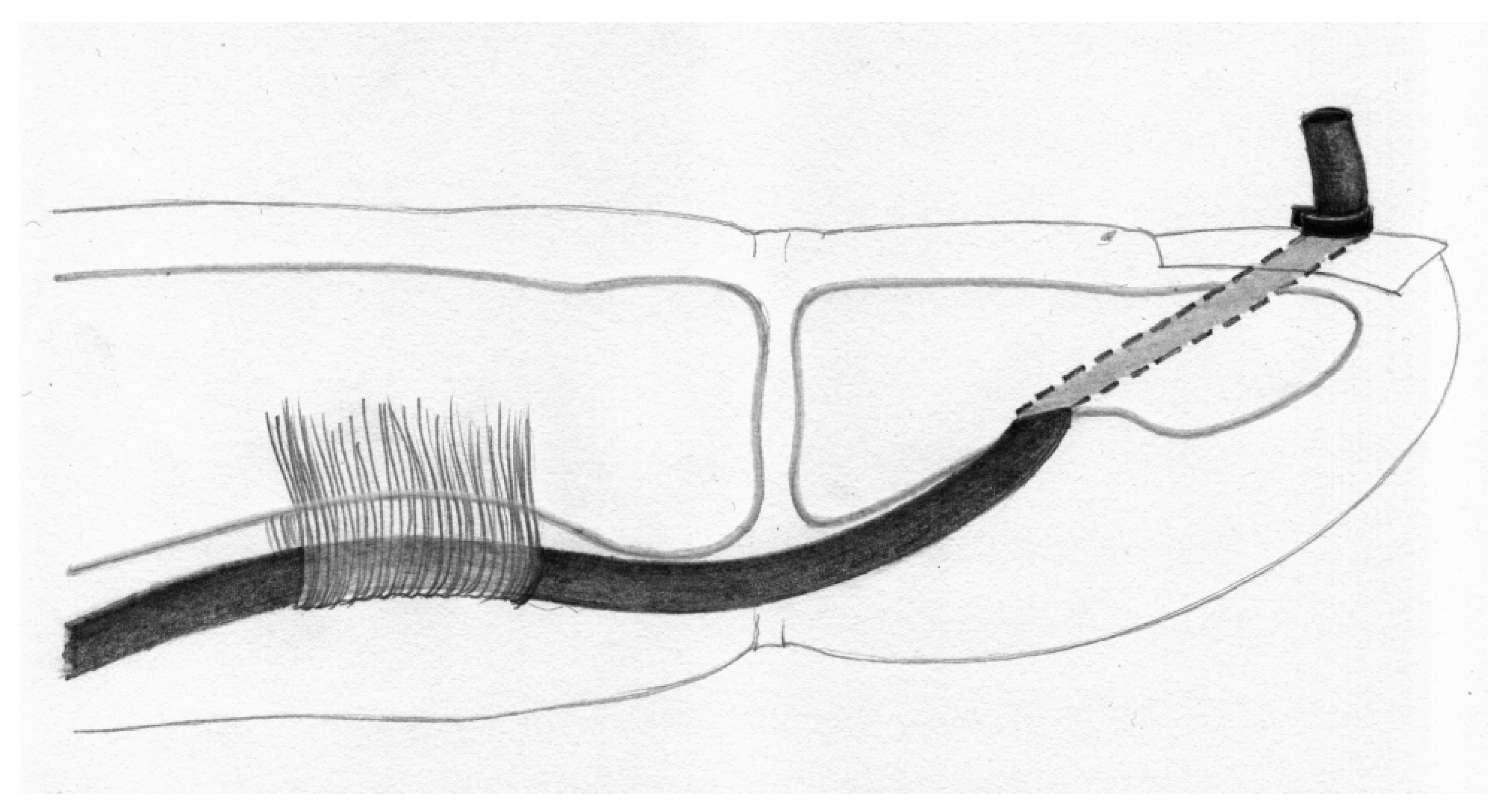 Jcm 15 00141 g004 Jcm 15 00141 g004