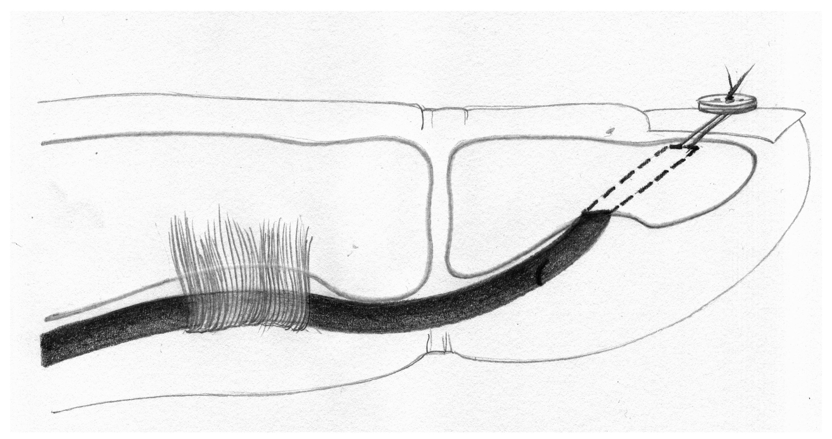 Jcm 15 00141 g005 Jcm 15 00141 g005