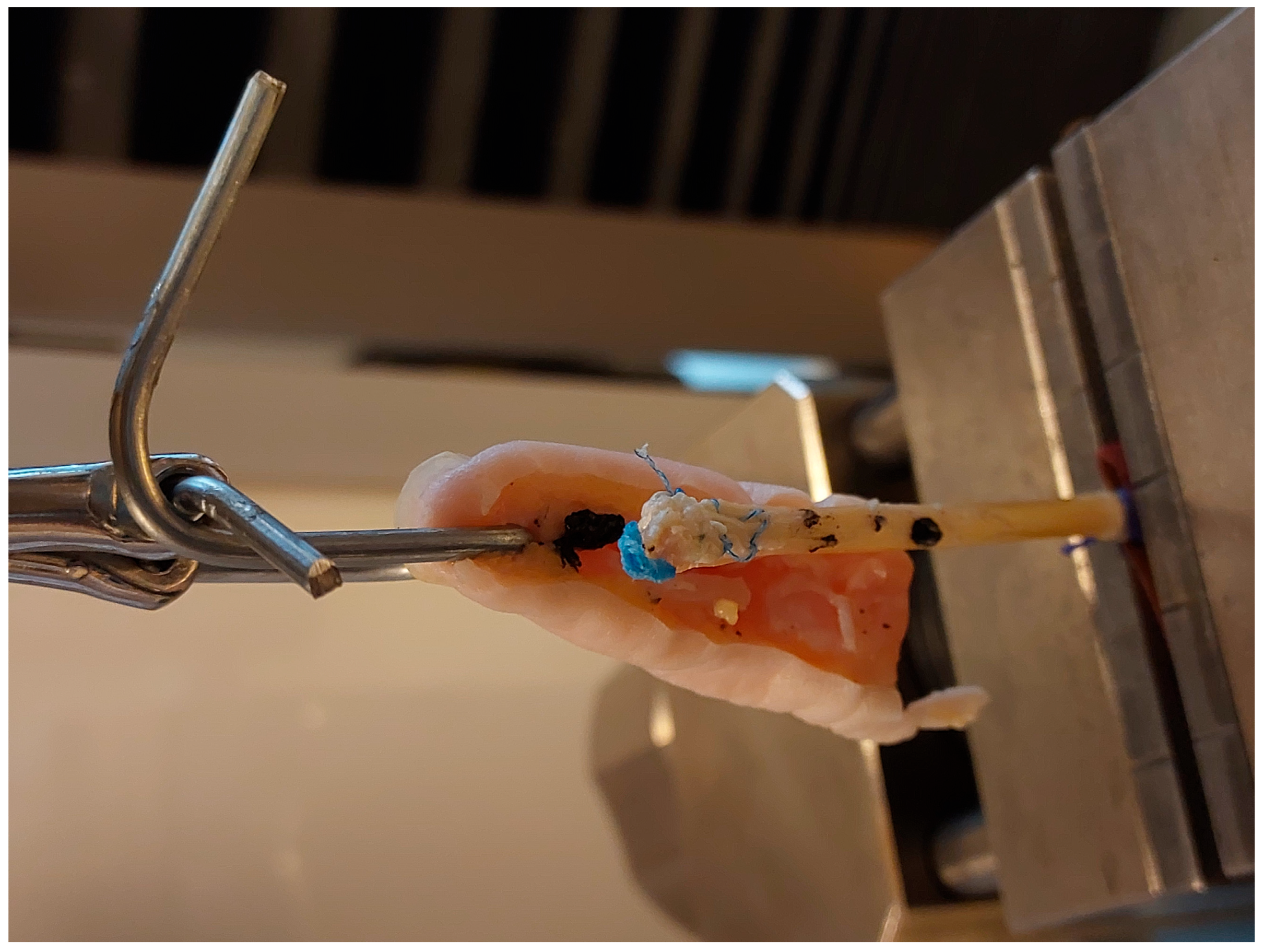 Jcm 15 00141 g006 Jcm 15 00141 g006