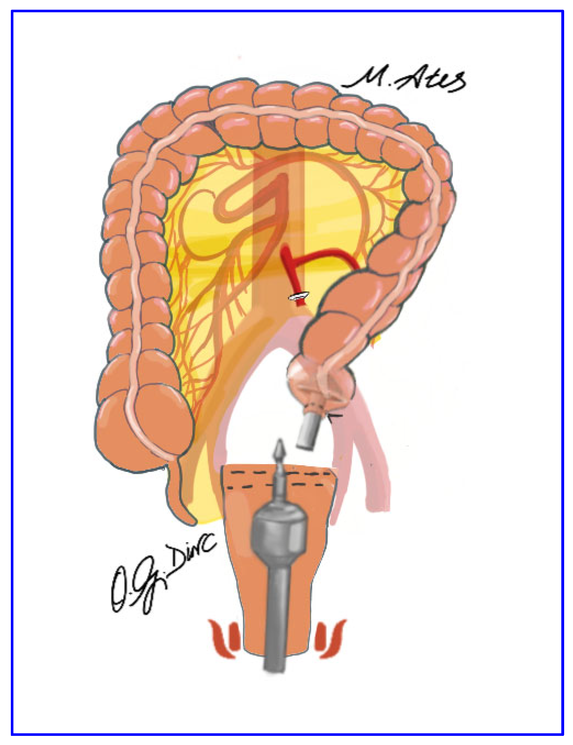 Jcm 15 00718 g005 Jcm 15 00718 g005