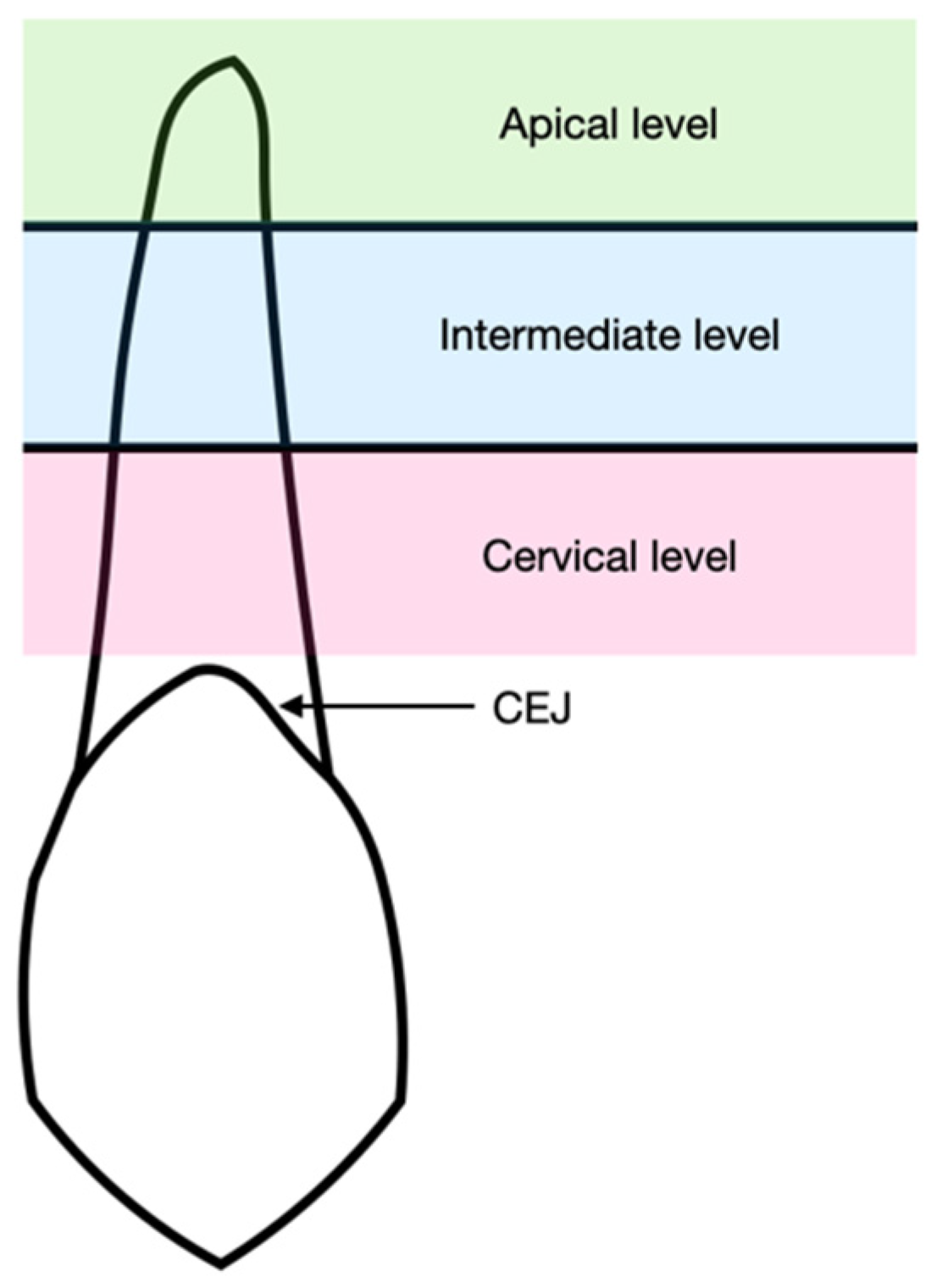 Jcm 15 00776 g004 Jcm 15 00776 g004