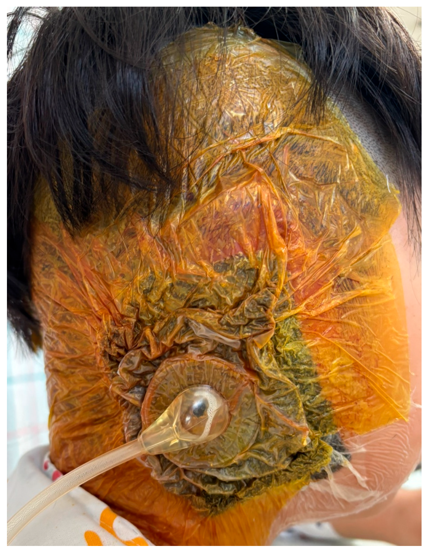 Jcm 15 01064 g001 Jcm 15 01064 g001