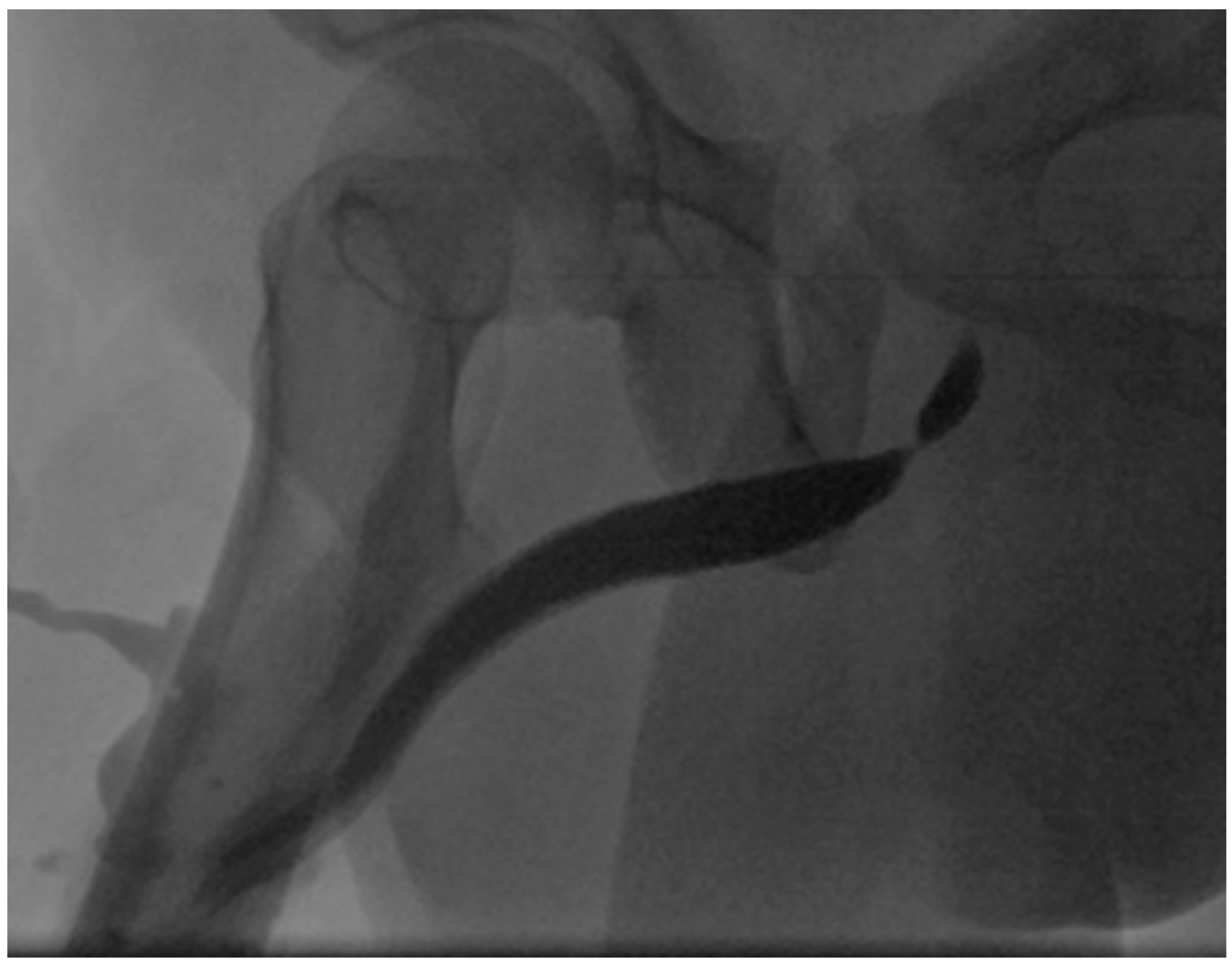 Jcm 15 01130 g002 Jcm 15 01130 g002