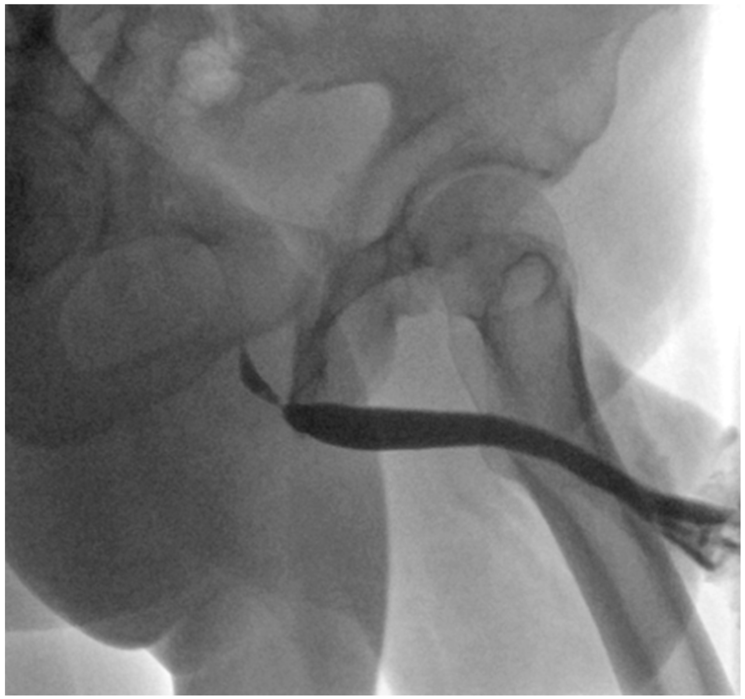 Jcm 15 01130 g003 Jcm 15 01130 g003