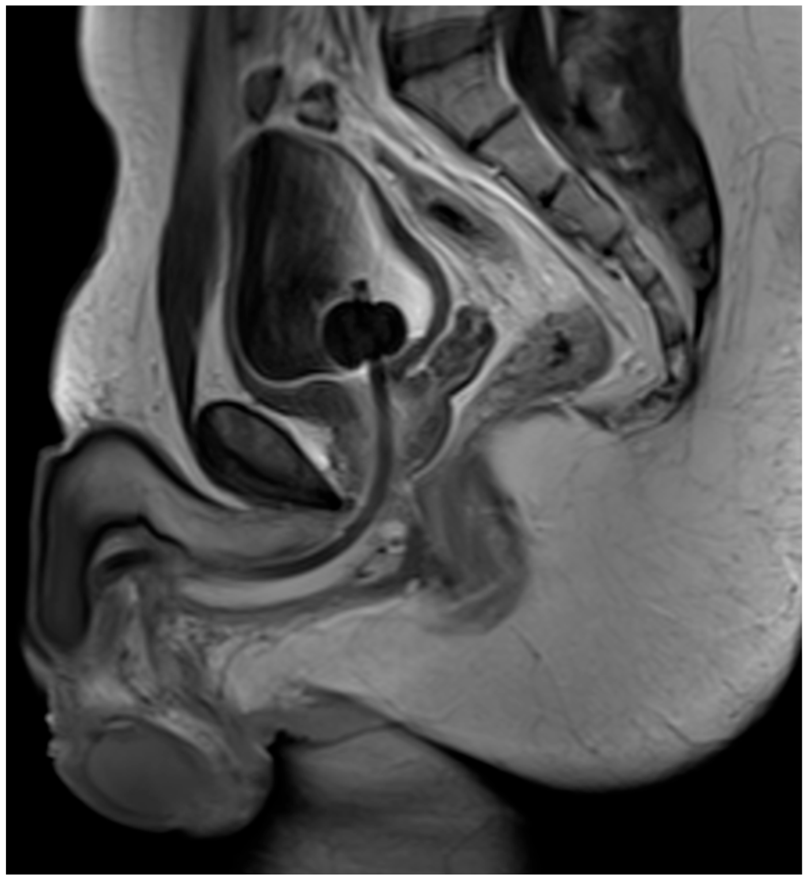 Jcm 15 01130 g006 Jcm 15 01130 g006