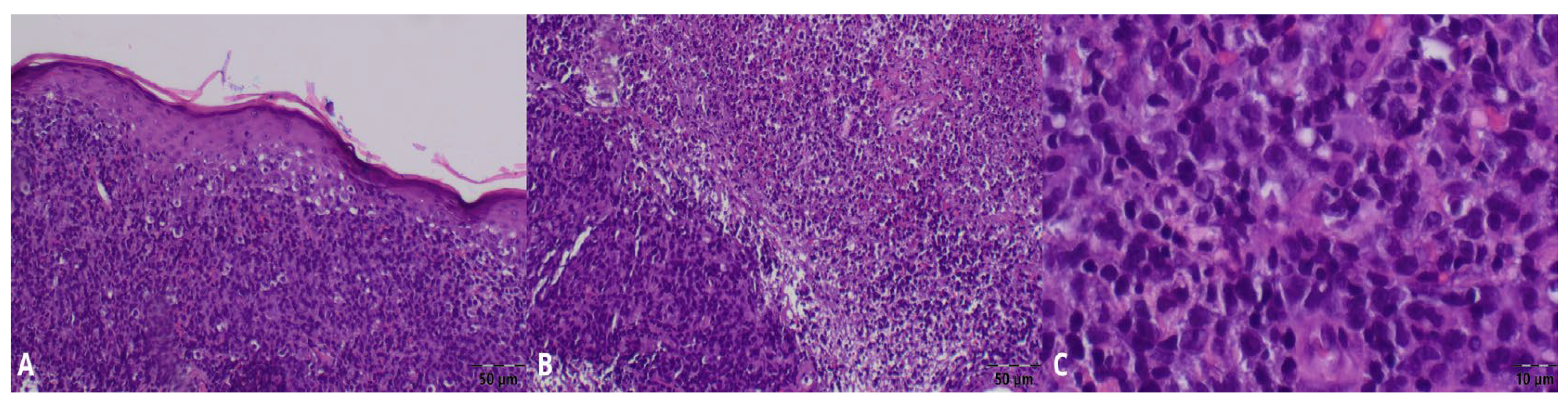 Jcm 15 01138 g002 Jcm 15 01138 g002