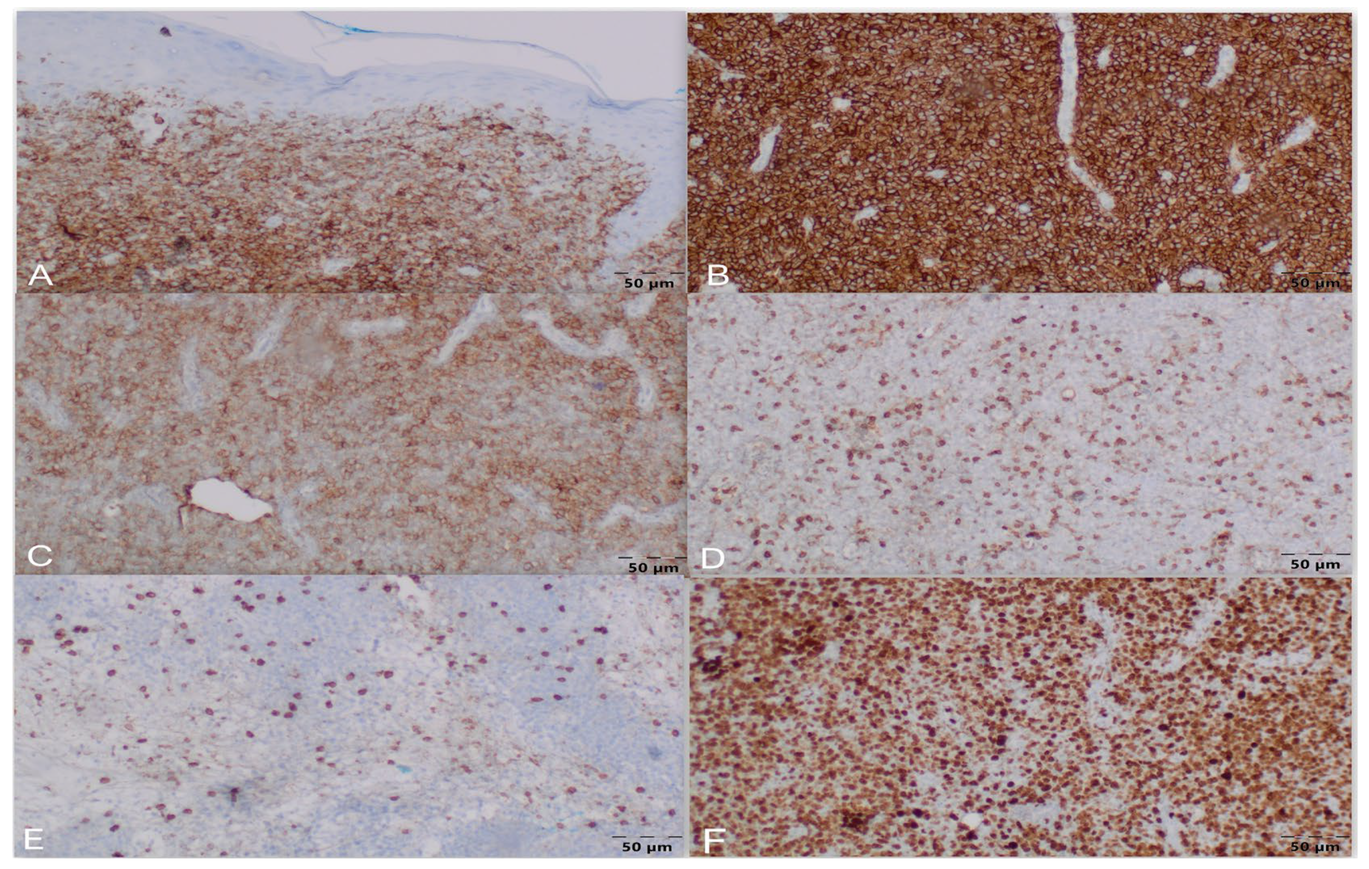Jcm 15 01138 g003 Jcm 15 01138 g003