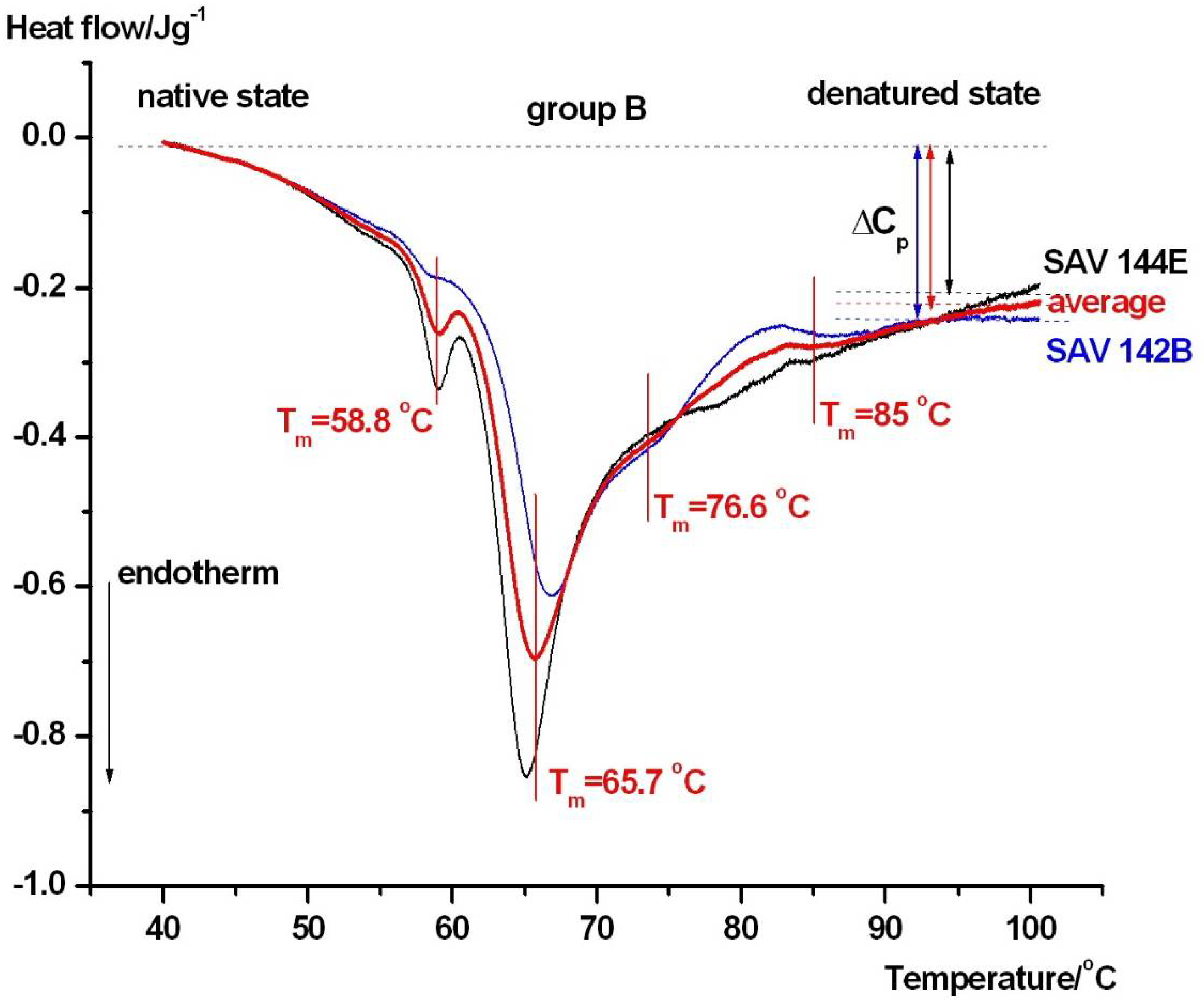 Jcm 15 01139 g004 Jcm 15 01139 g004