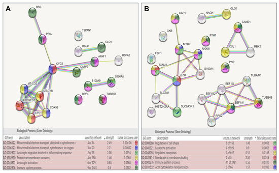 Proteomic Profiles of Seminal Plasma in Individuals with Secondary ...