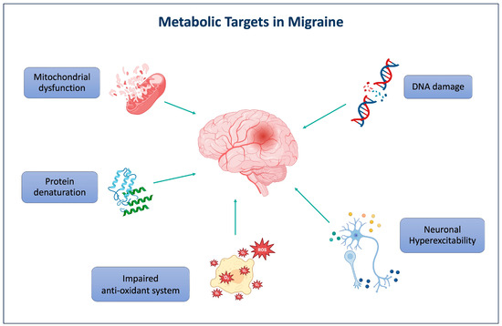 acetyl l carnitine migraine Dietary Modulation of Migraine: Metabolic, Neuroinflammatory and  Microbiota-Mediated Mechanisms