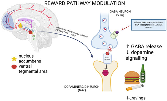 semaglutide dopamine reddit Incretin-Based Therapies: A Novel Pathway in Addiction Treatment