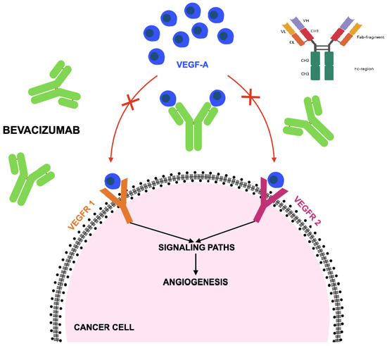 does bpc 157 cause erectile dysfunction Does BPC 157 Help with Erectile Dysfunction?