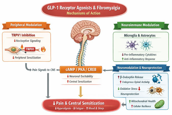 glp-1 max reviews and complaints Your guide to GLP-1 side effects