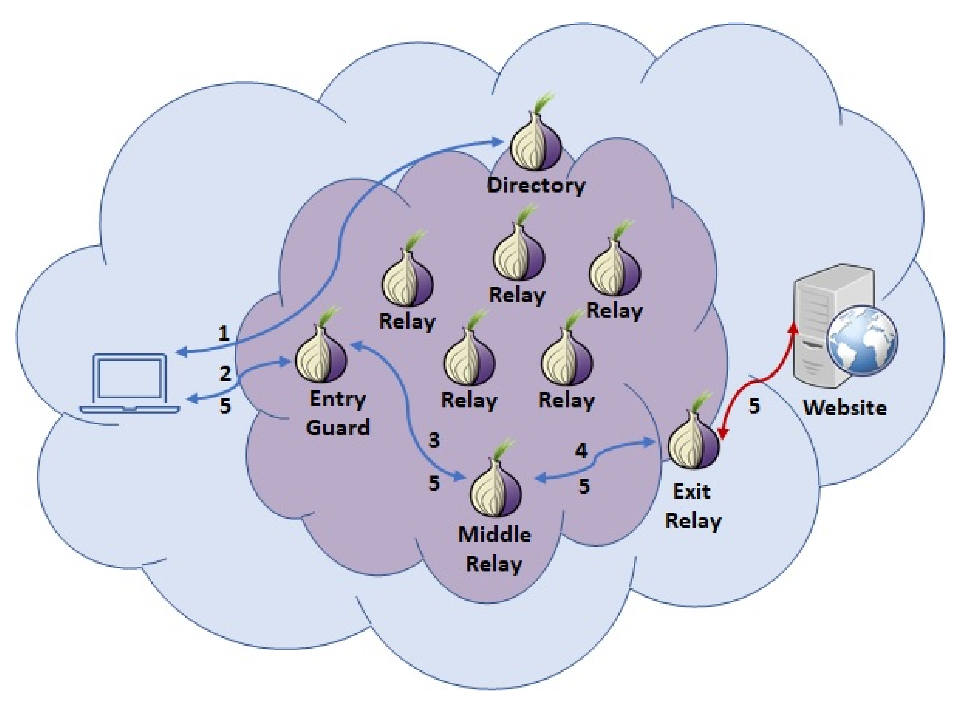 Towards an Automated Process to Categorise Tor's Hidden Services