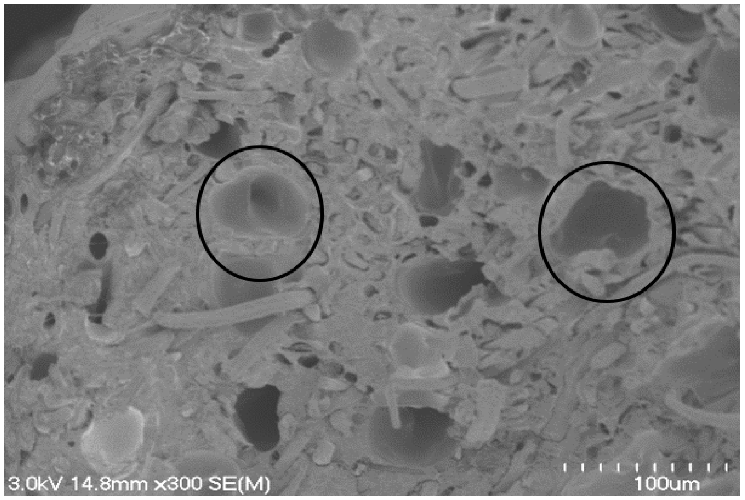 Jcs 01 00008 g007 Jcs 01 00008 g007