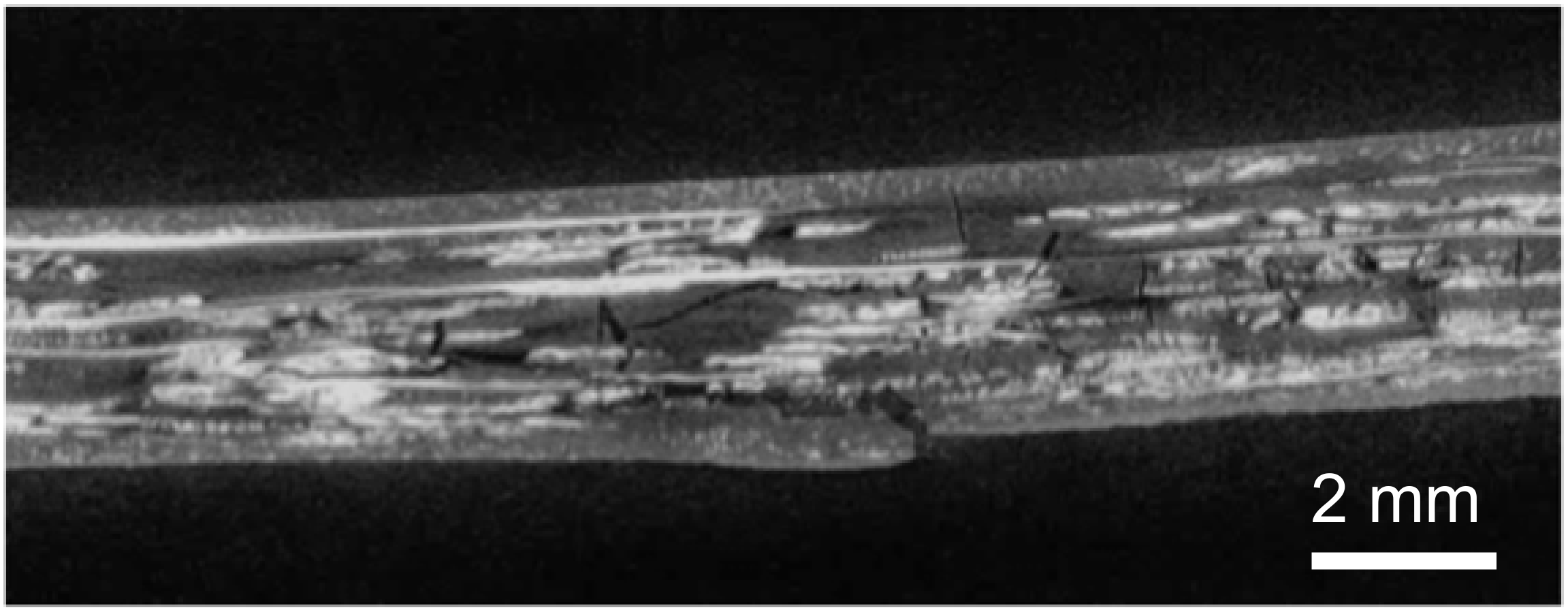 Jcs 01 00018 g011