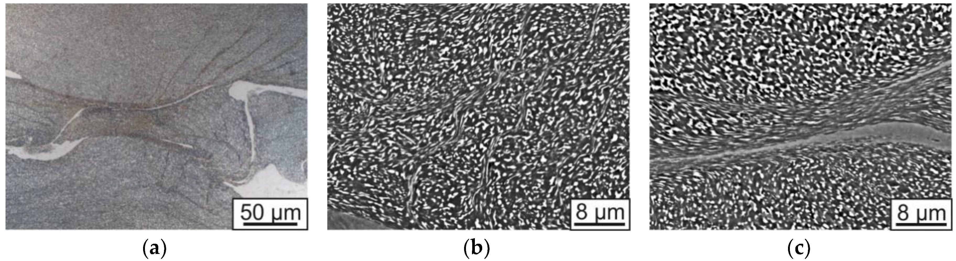 Jcs 02 00039 g004 550