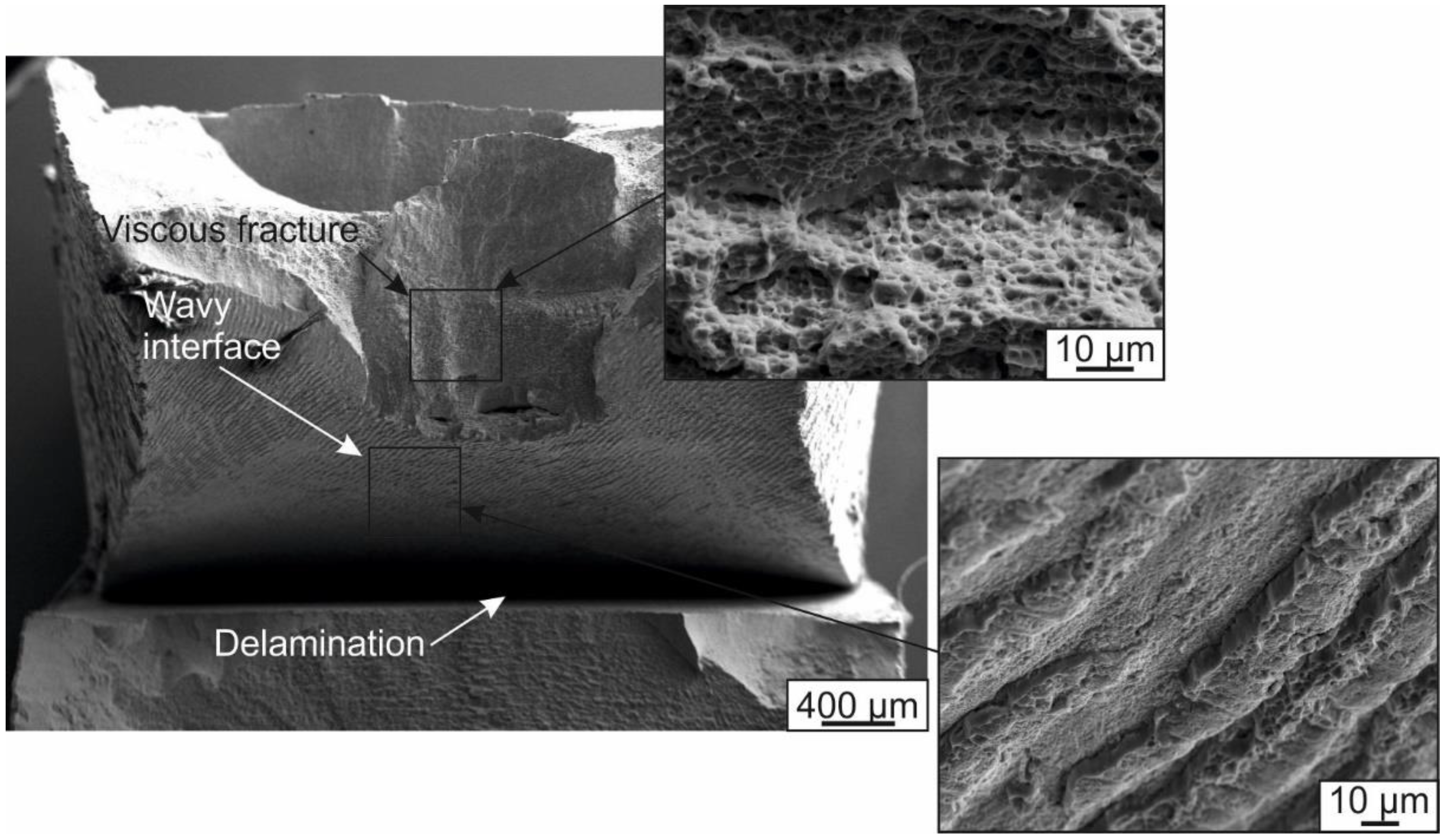 Jcs 02 00039 g010 550