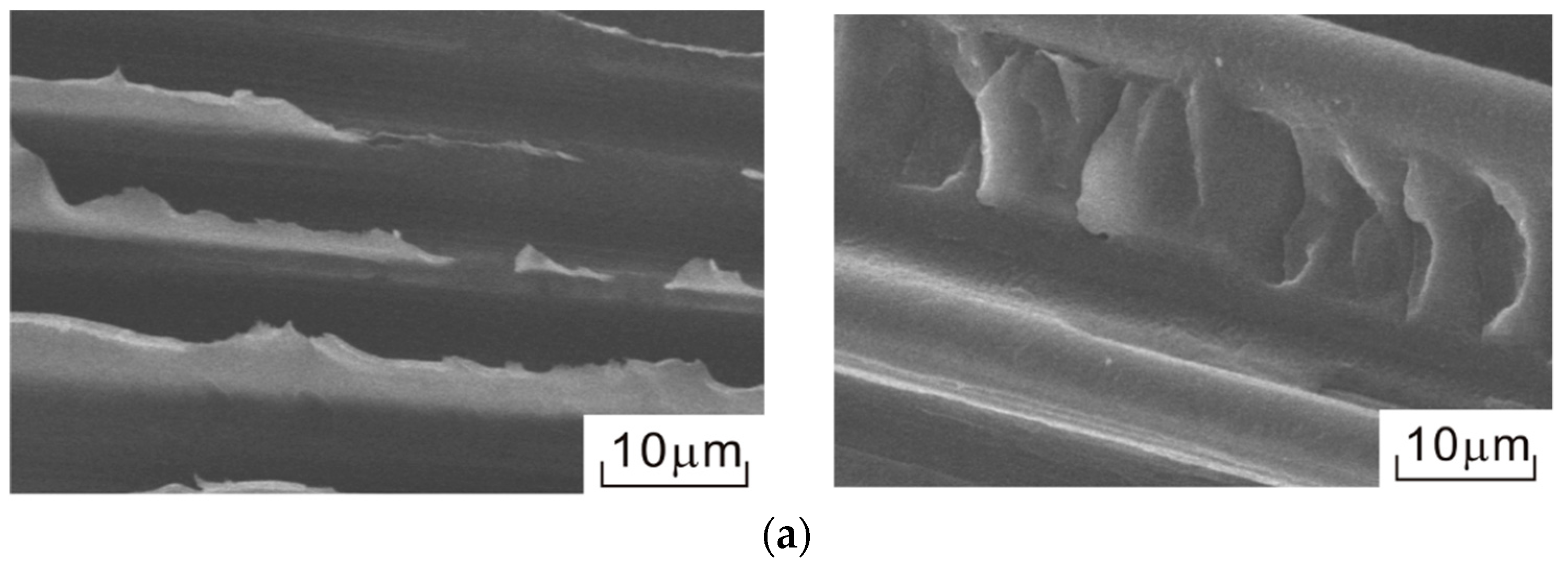 Jcs 03 00009 g016a