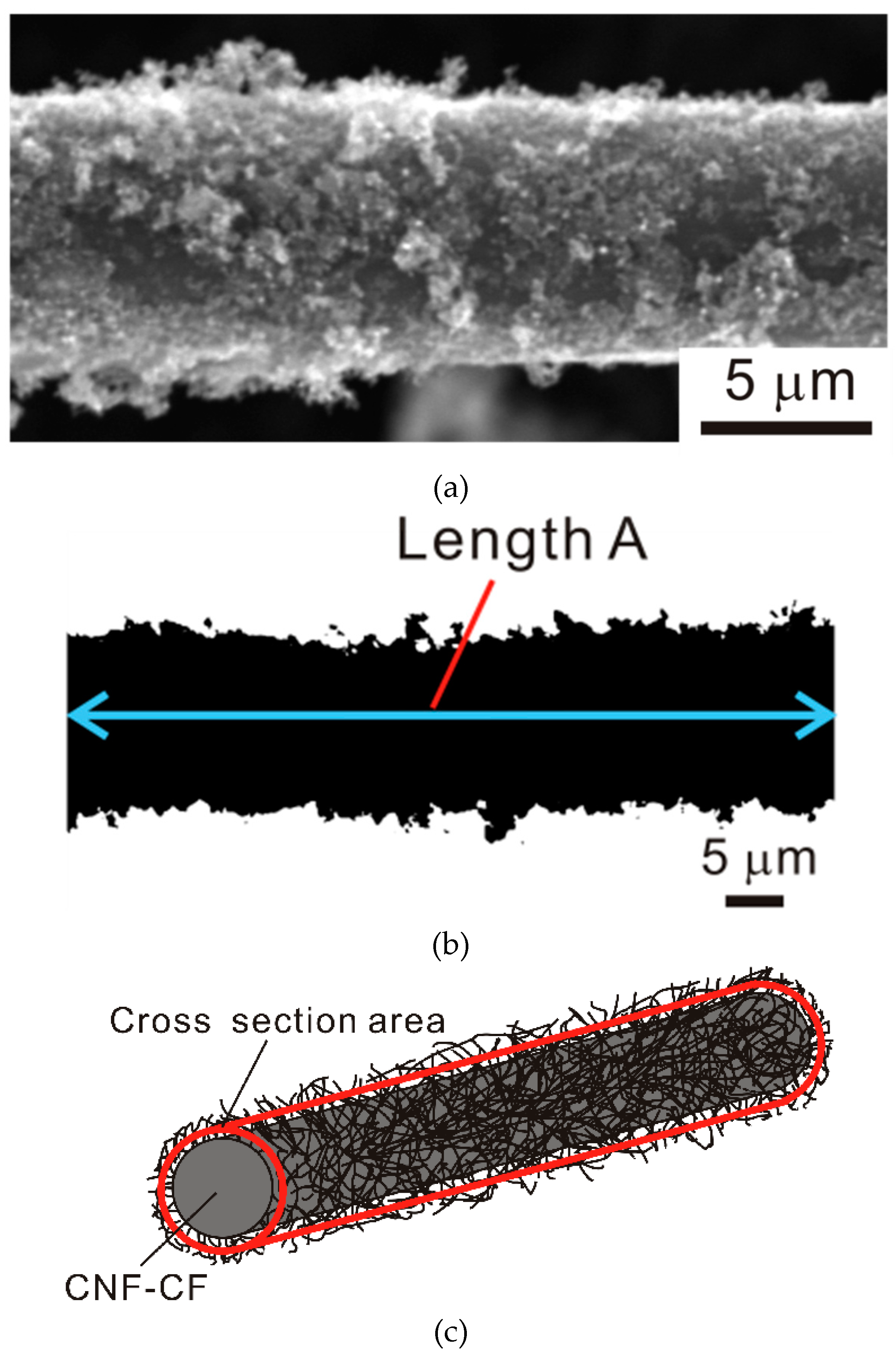 Jcs 03 00014 g007