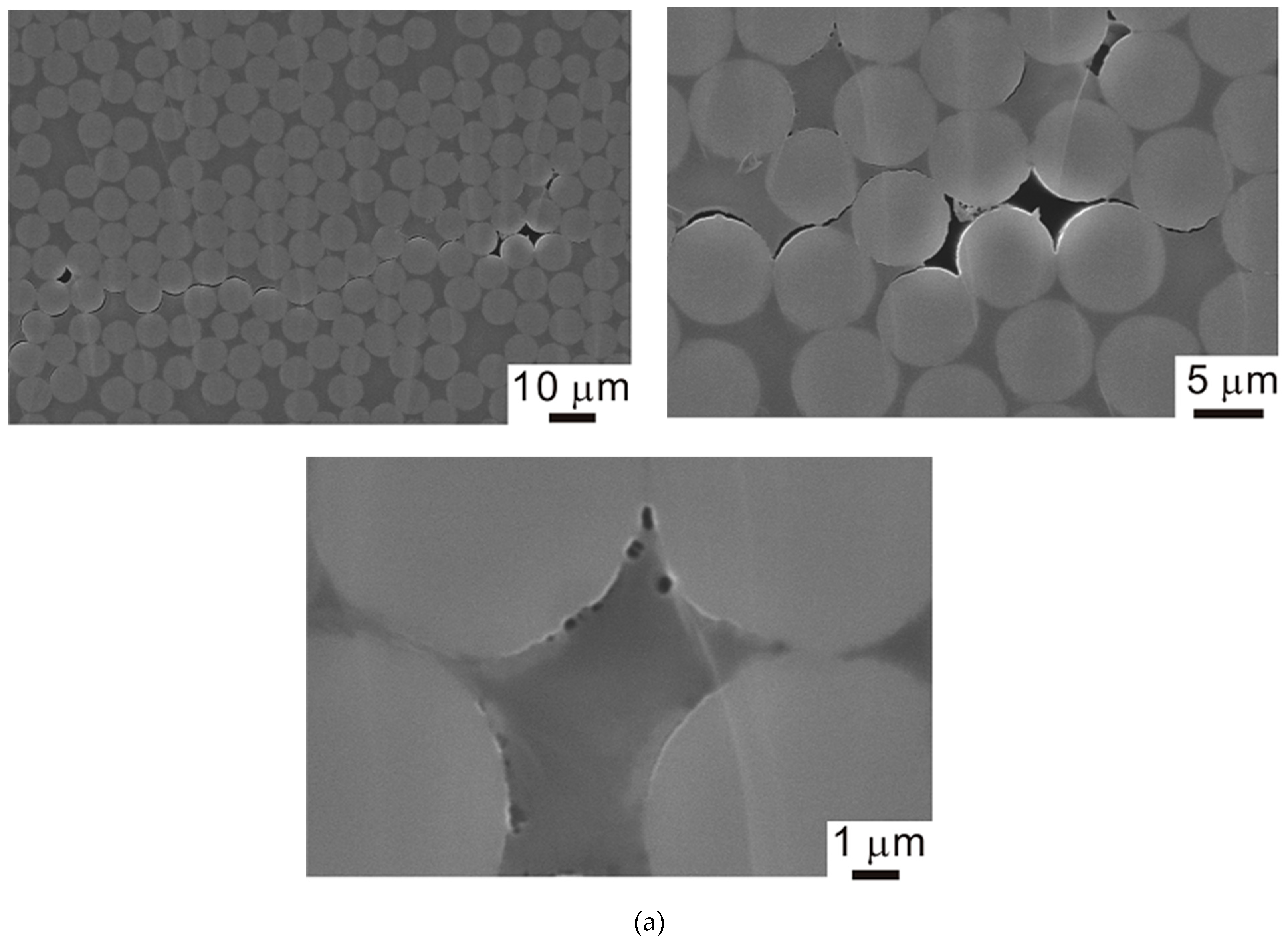 Jcs 03 00014 g016a