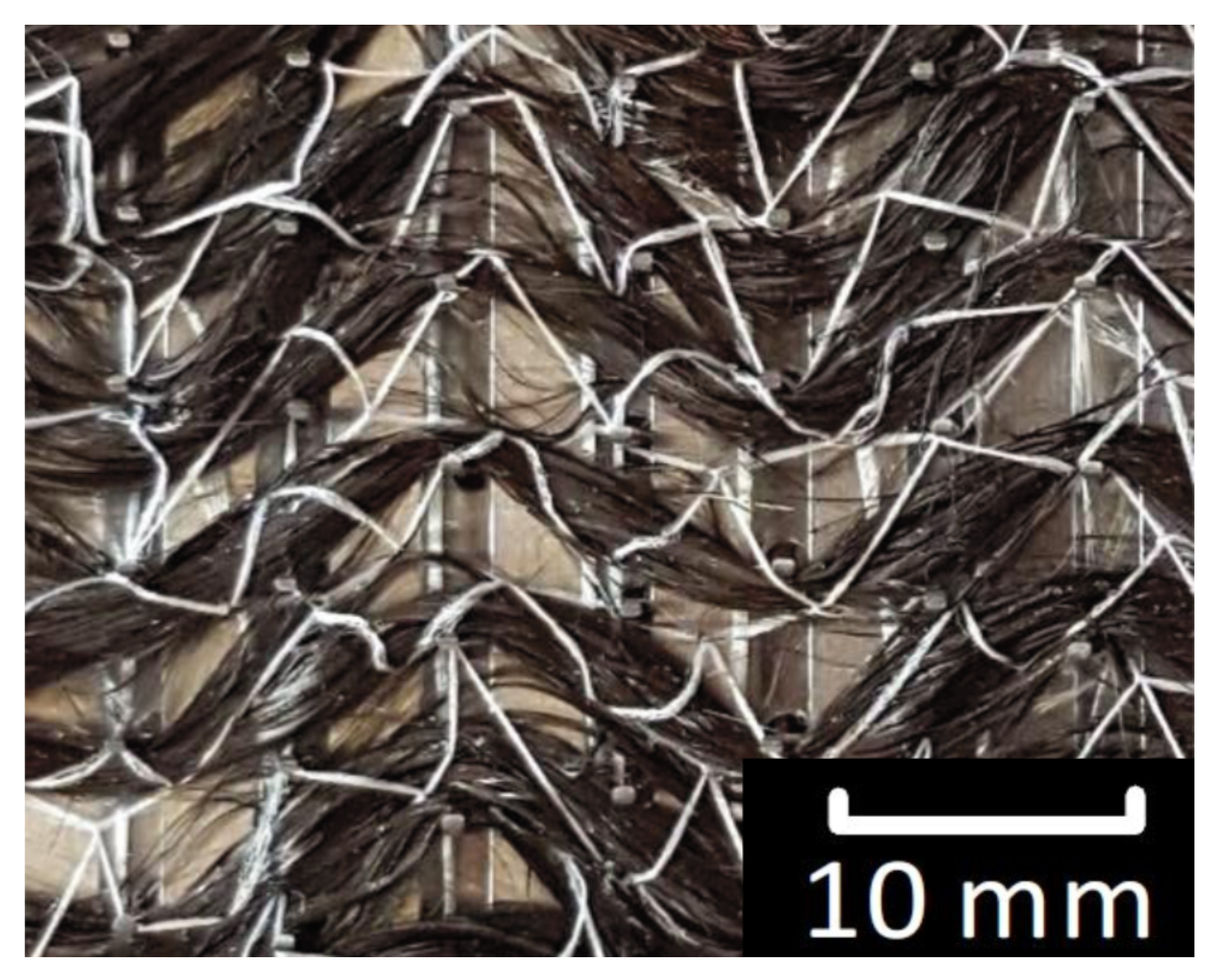 Jcs 03 00019 g010