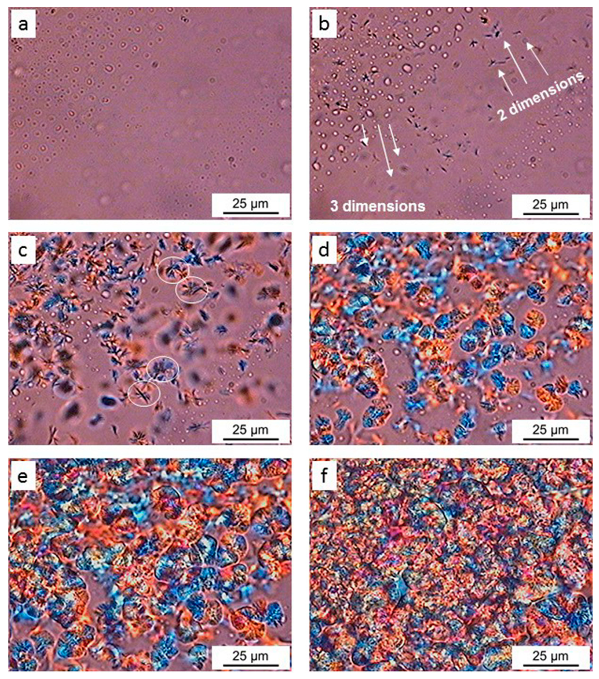 Jcs 03 00021 g008 Jcs 03 00021 g008