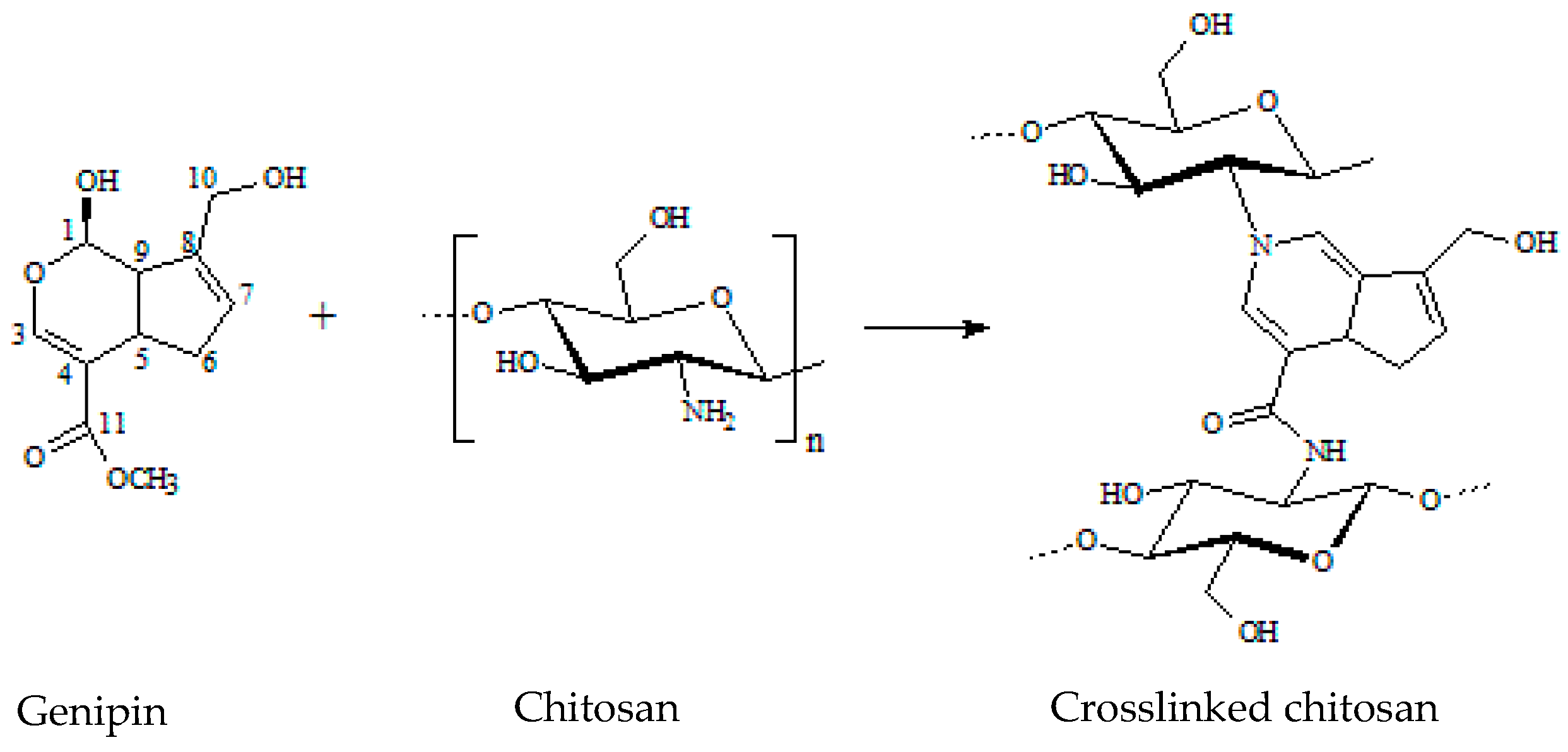 24/7オンラインショップ24/7Workout INULIN+CHITOSAN: Workout物販