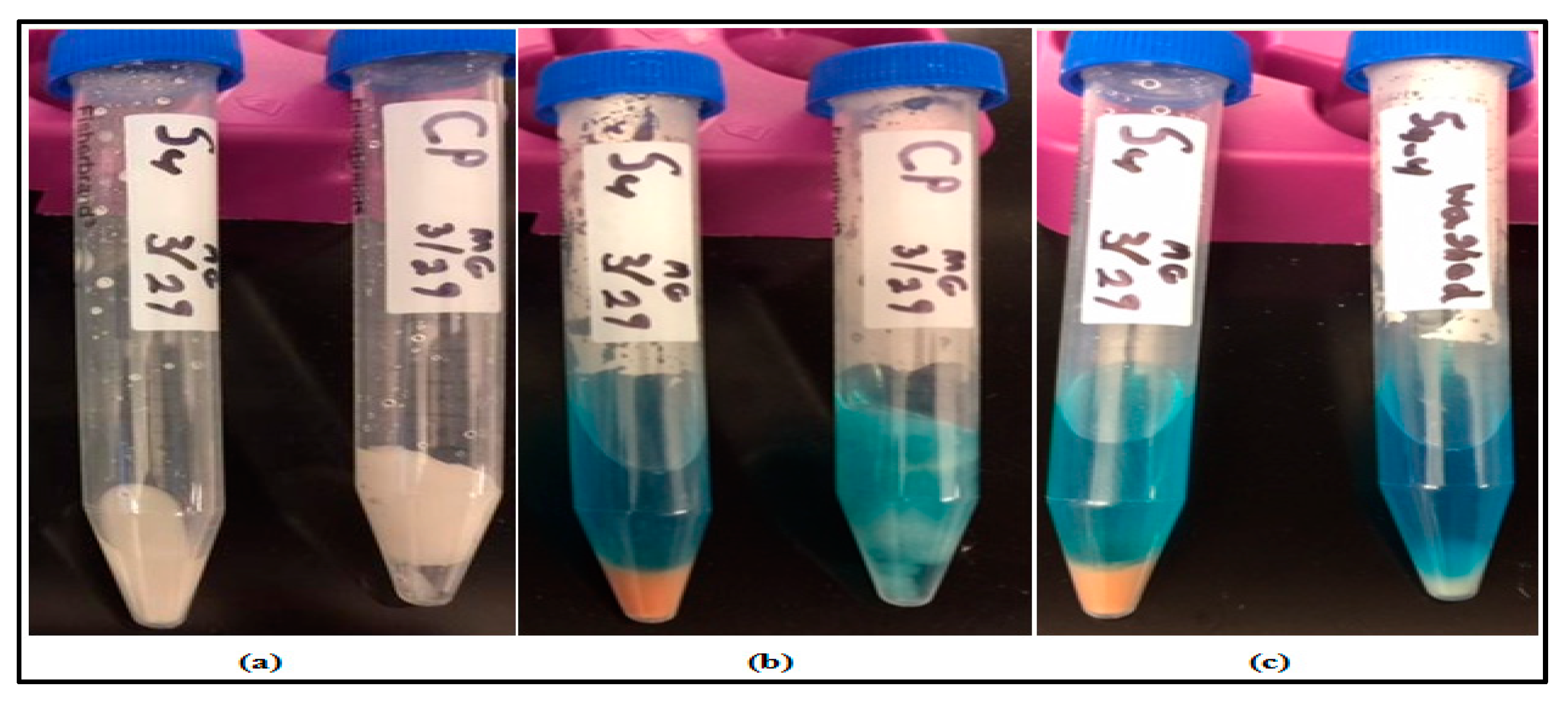 Jcs 03 00098 g003 Jcs 03 00098 g003