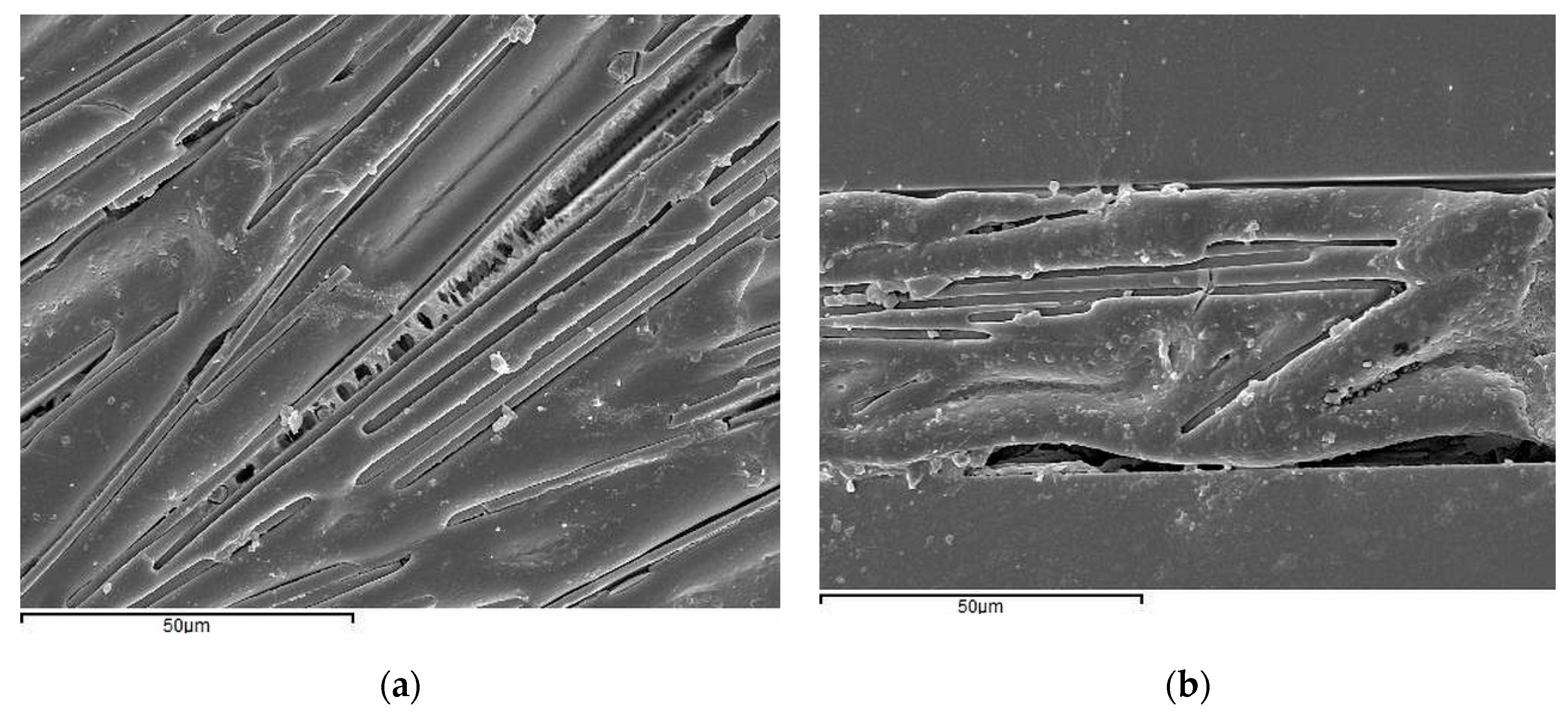 Jcs 03 00101 g013 550