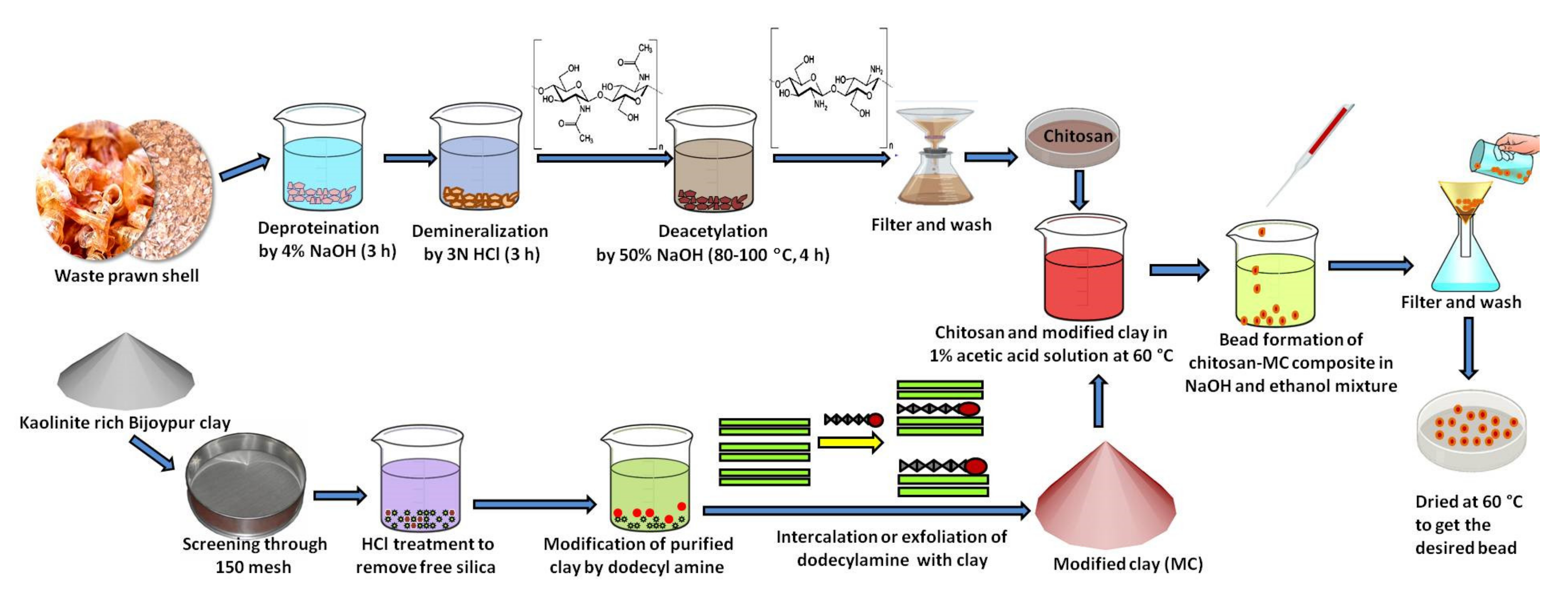 Water are being removed from. Schematic application of Chitosan. Iron Oxide-Chitosan nanobiocomposite for urea sensor. Schematic source of Chitosan. Source of Chitosan.
