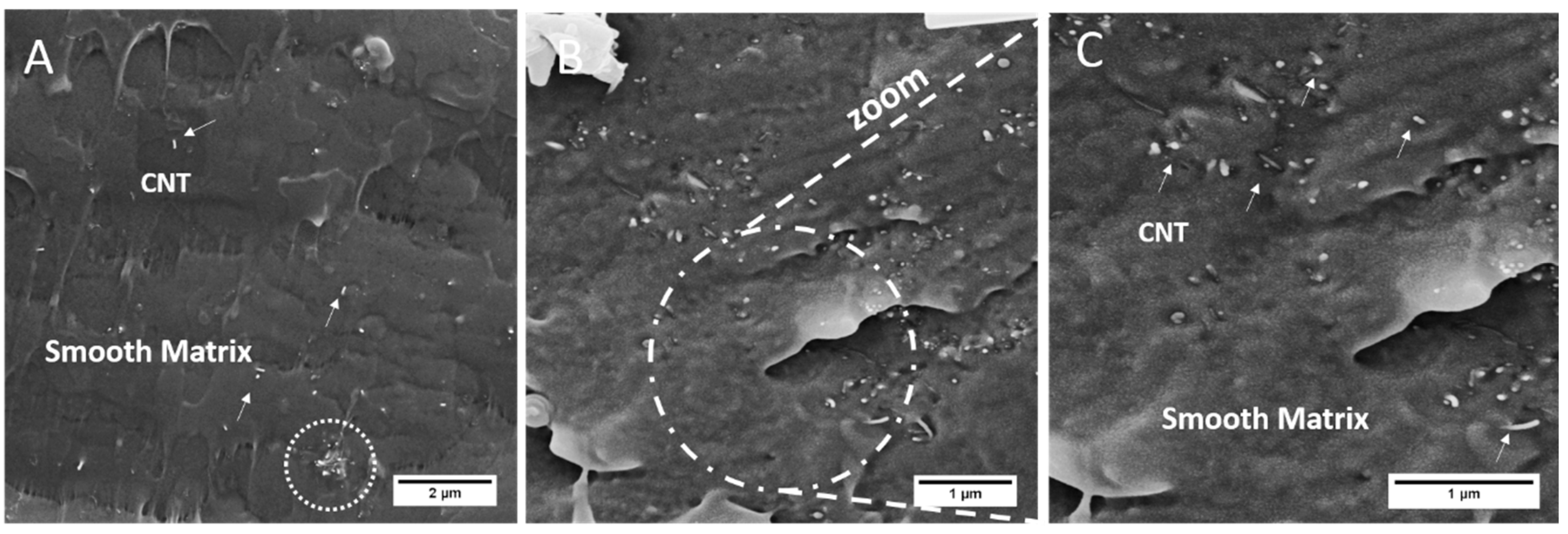 Jcs 04 00044 g012 Jcs 04 00044 g012