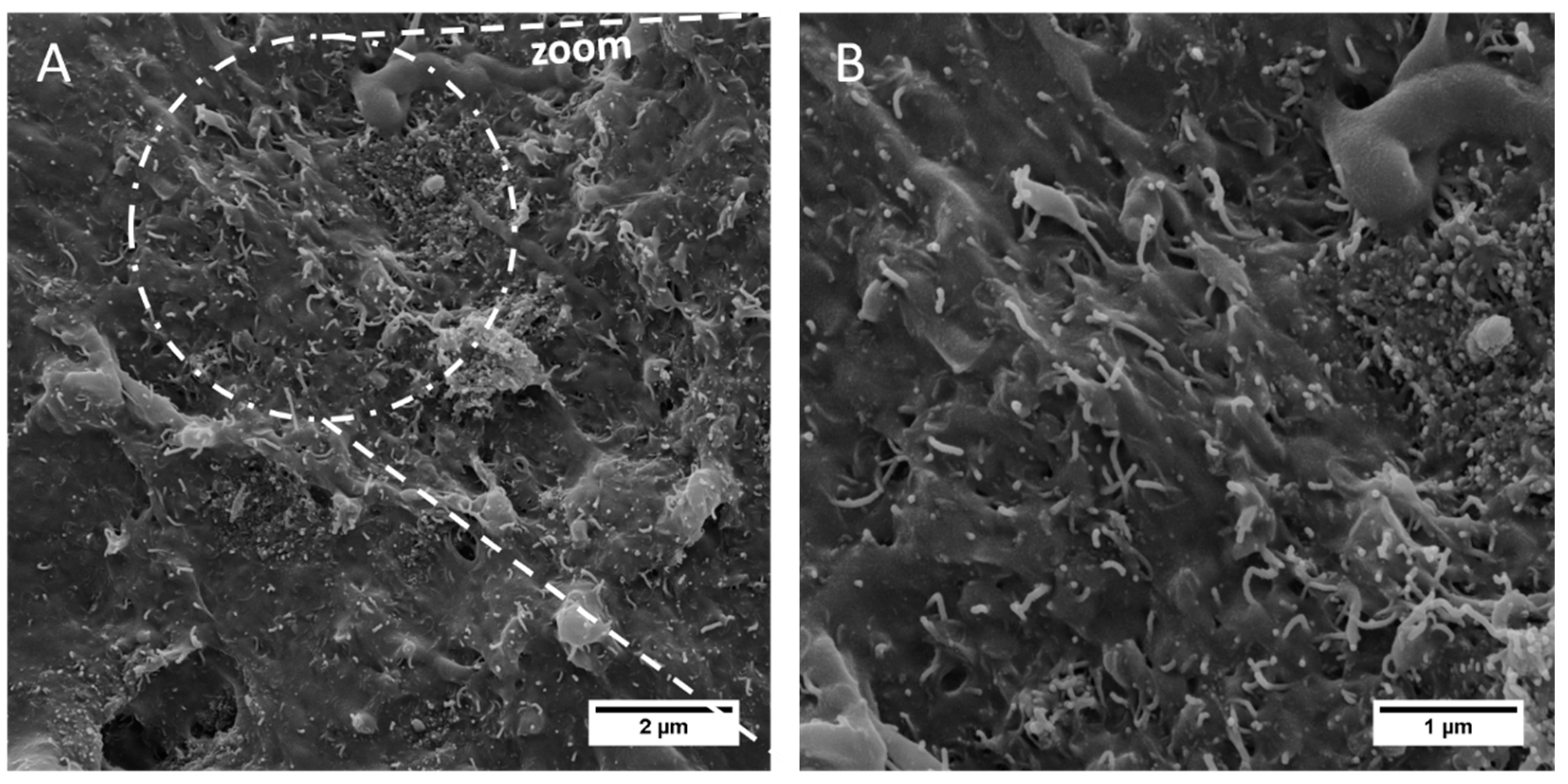 Jcs 04 00044 g013 Jcs 04 00044 g013