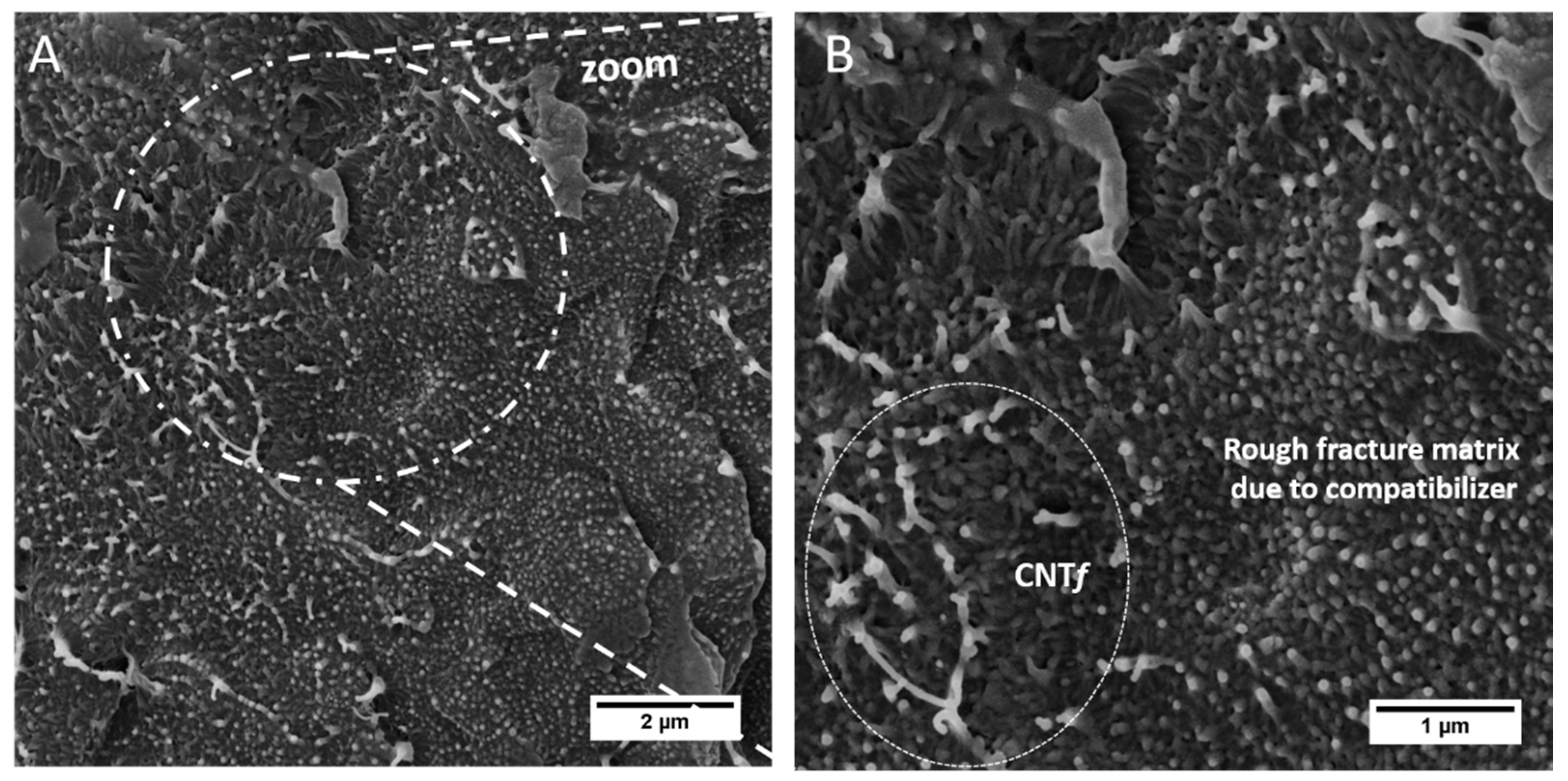 Jcs 04 00044 g014 Jcs 04 00044 g014