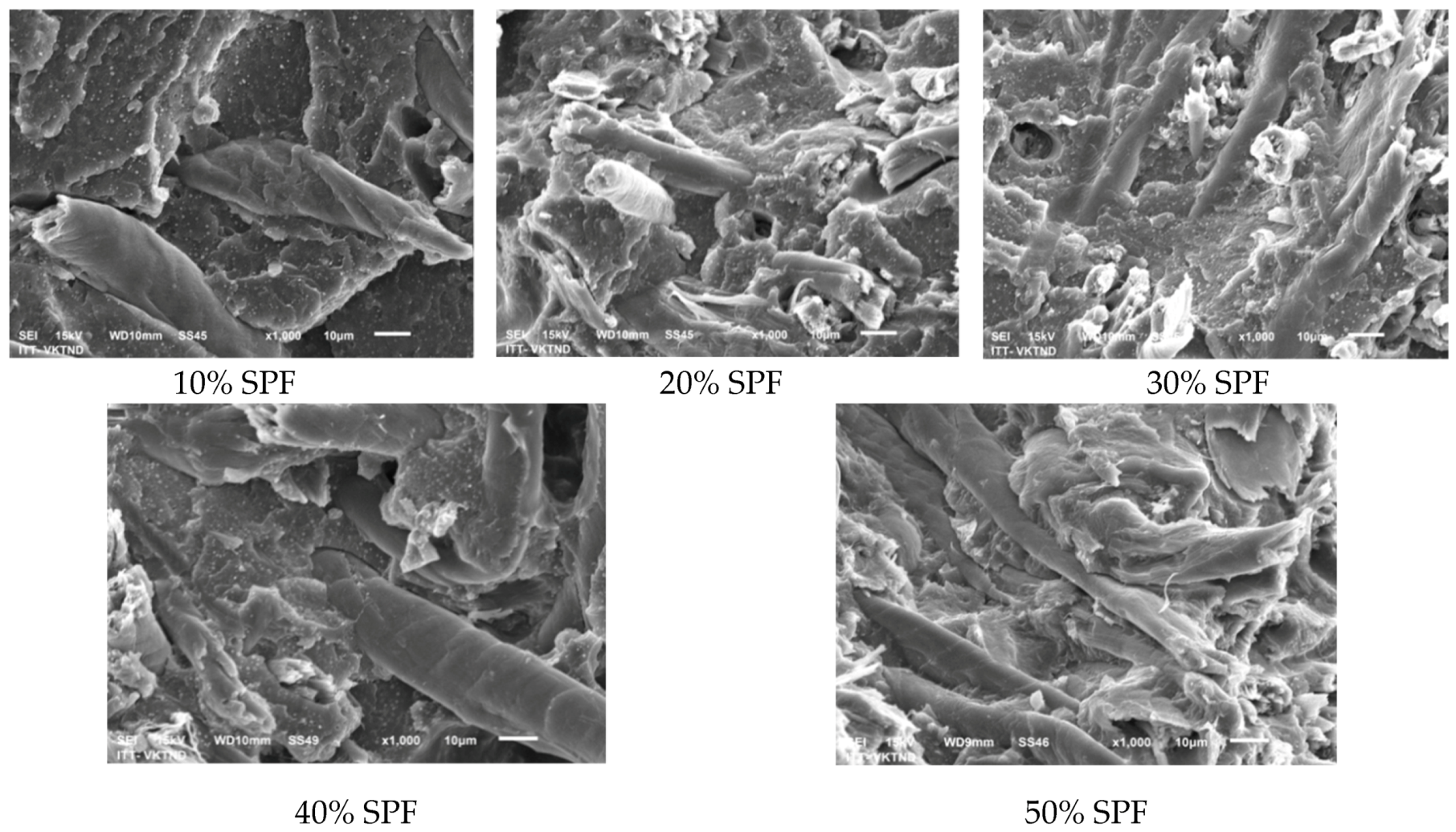 Jcs 04 00056 g005 Jcs 04 00056 g005